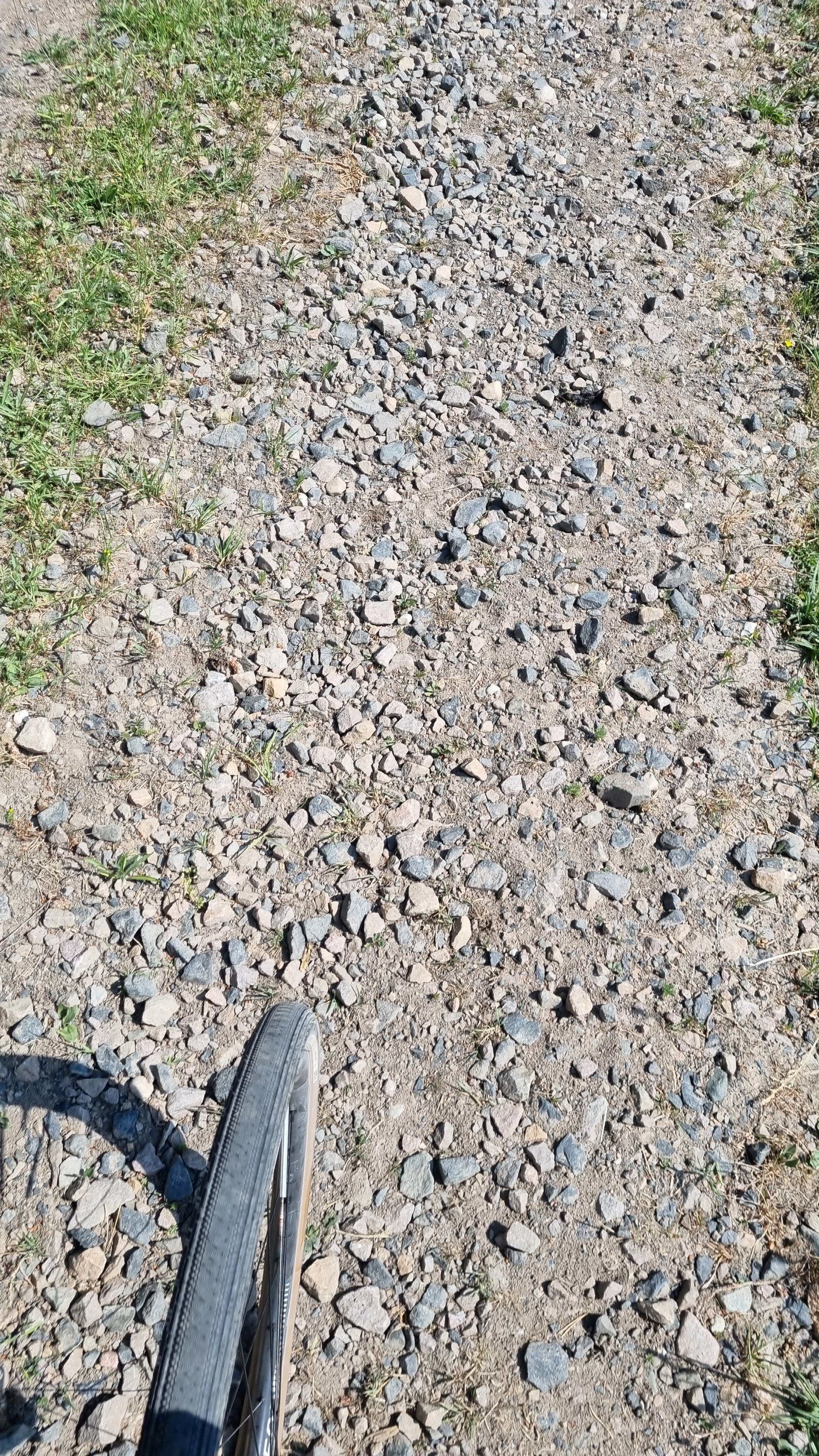 20230617_103822.jpg
