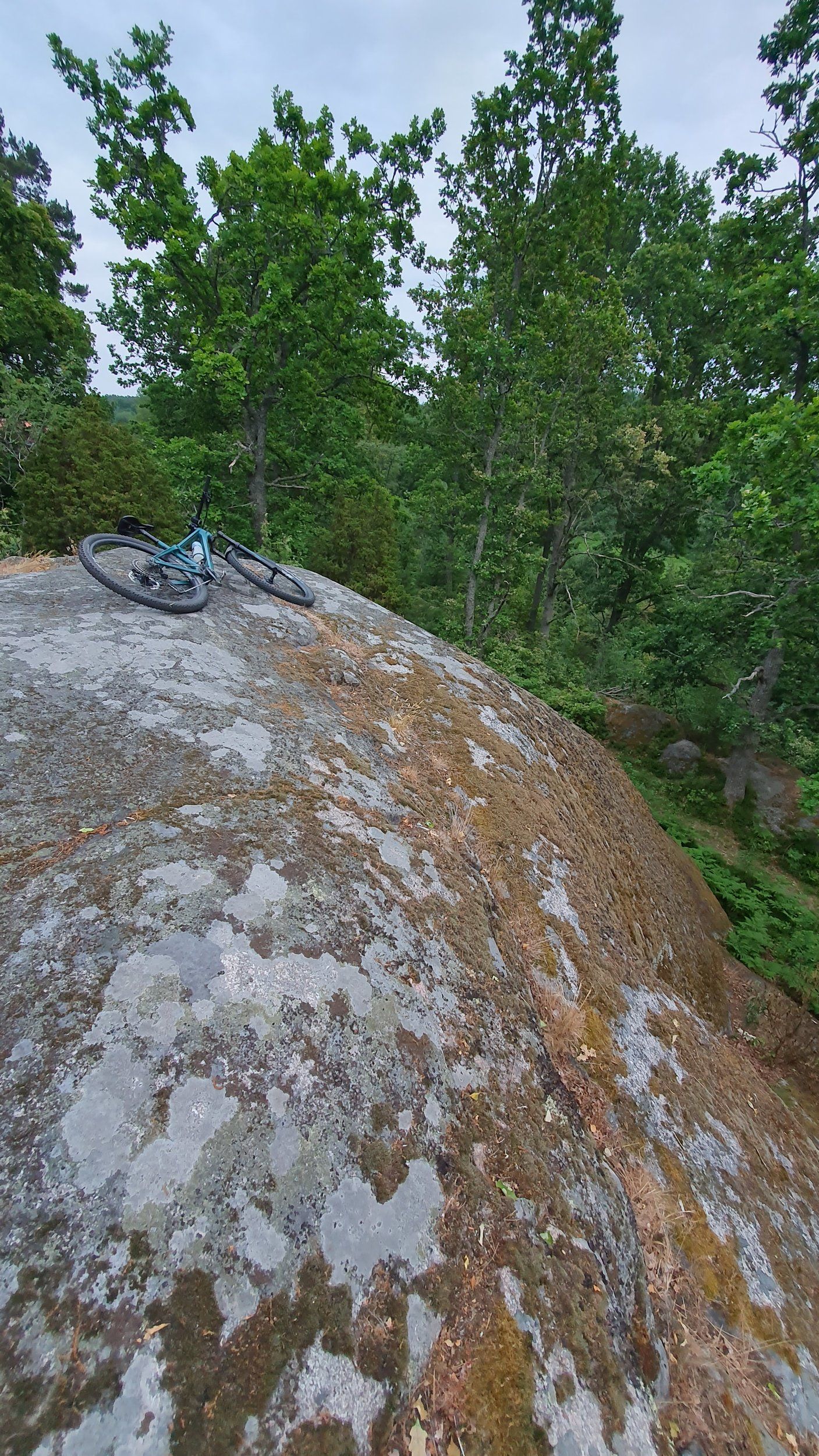 20230621_213134.jpg