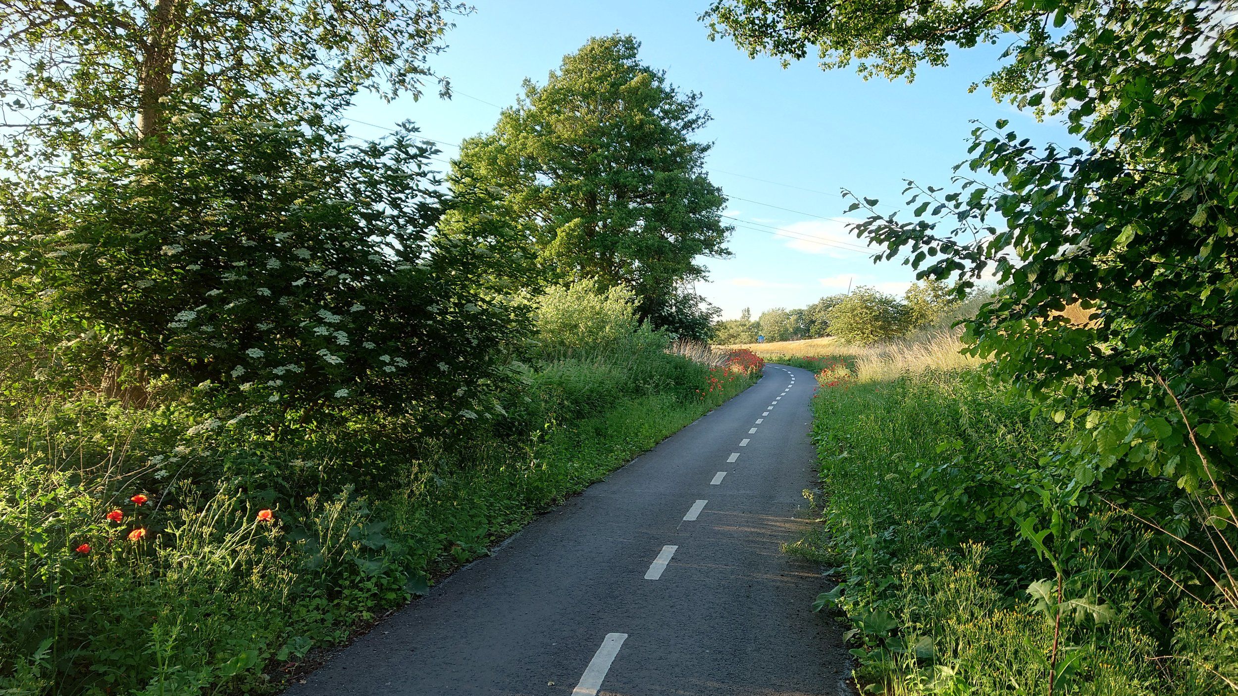 20230624_203648.JPG