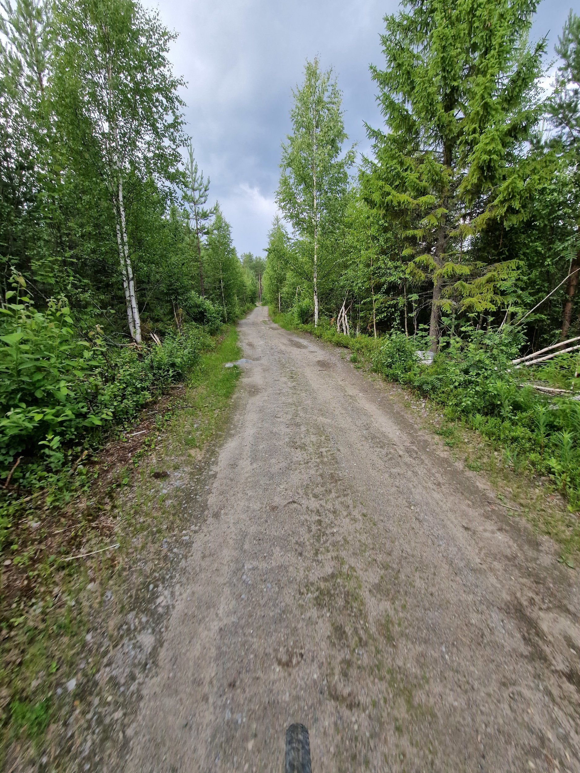 20230628_131554.jpg