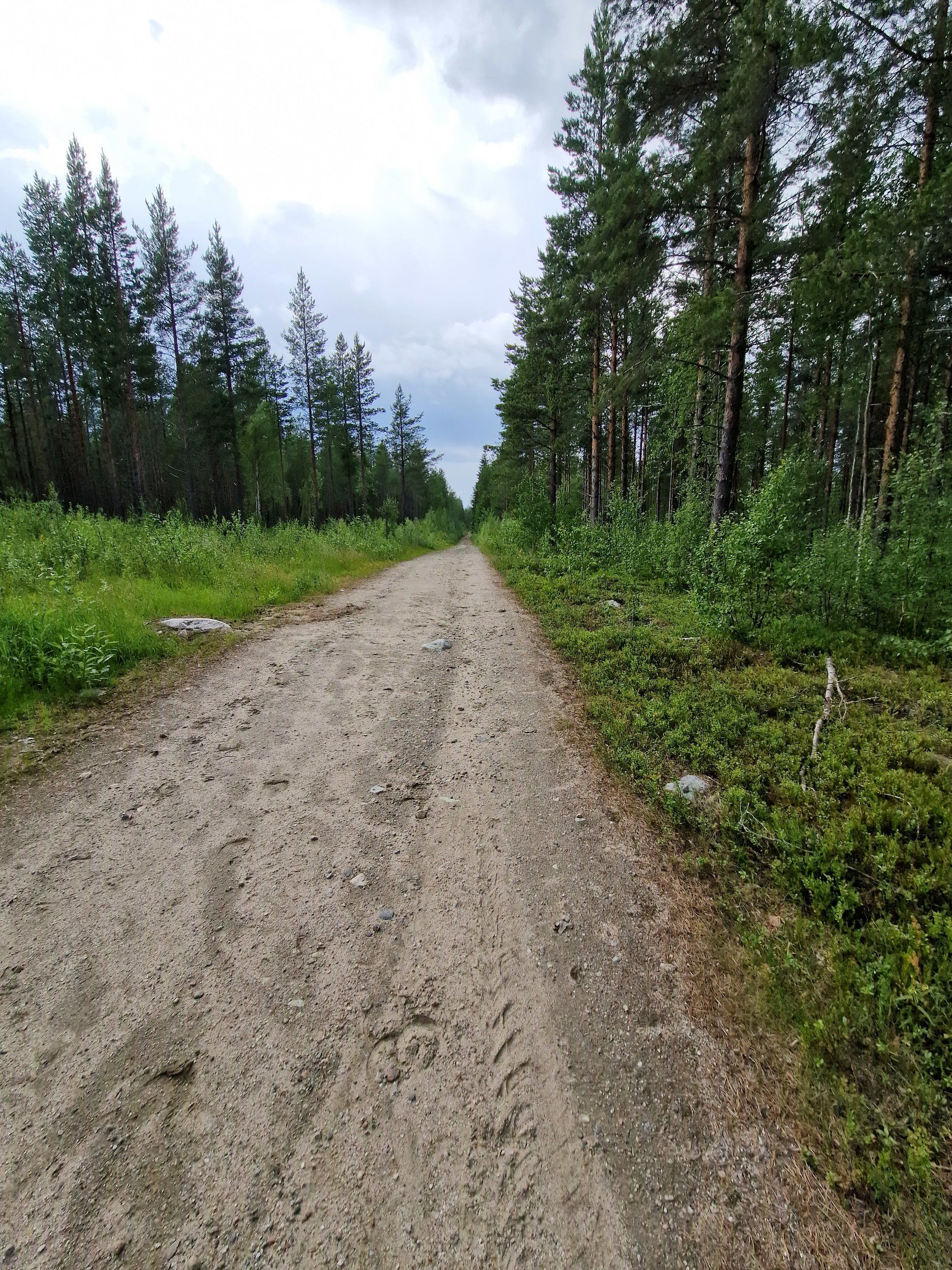 20230628_131653.jpg