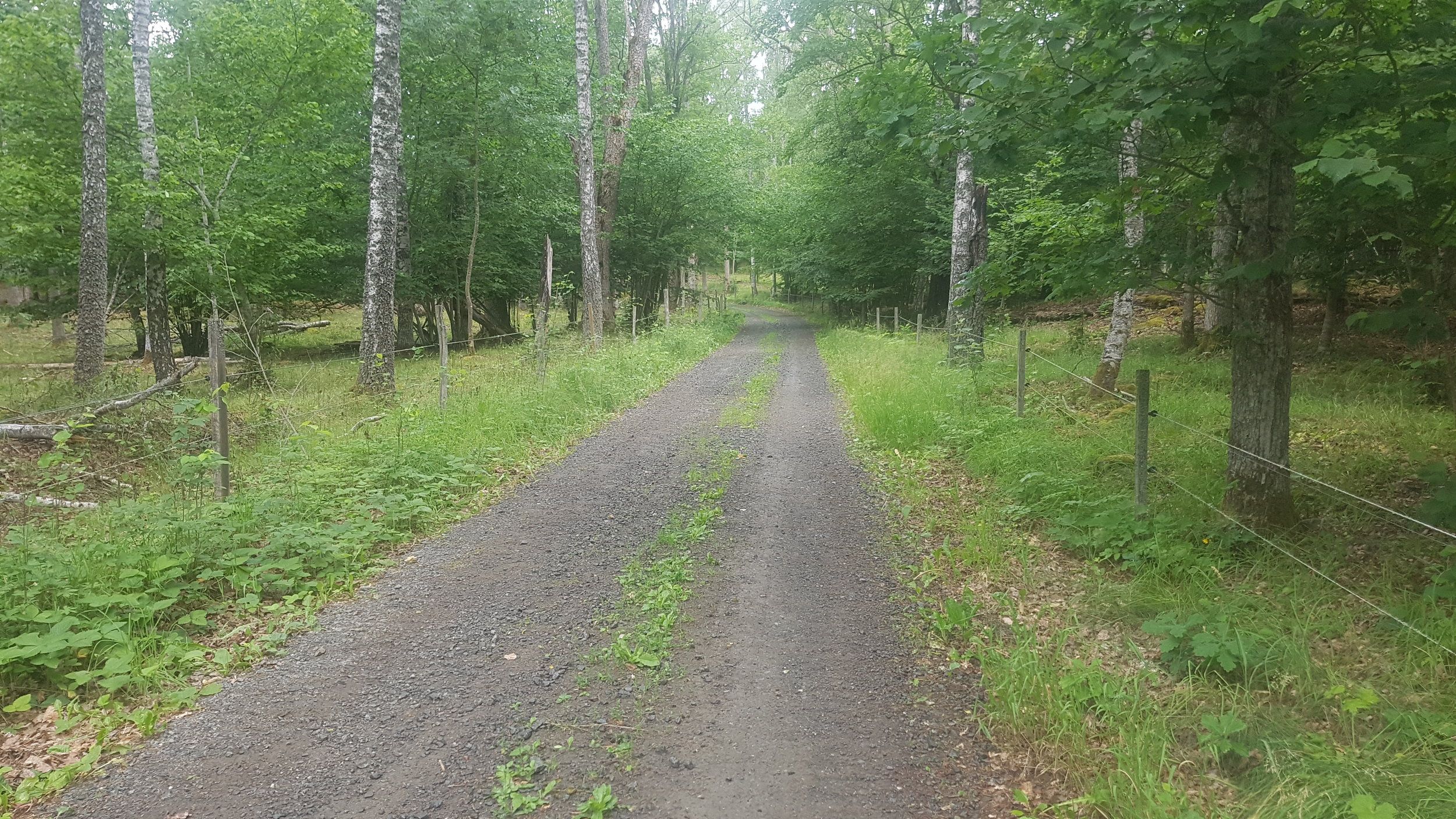 20230701_095334.jpg