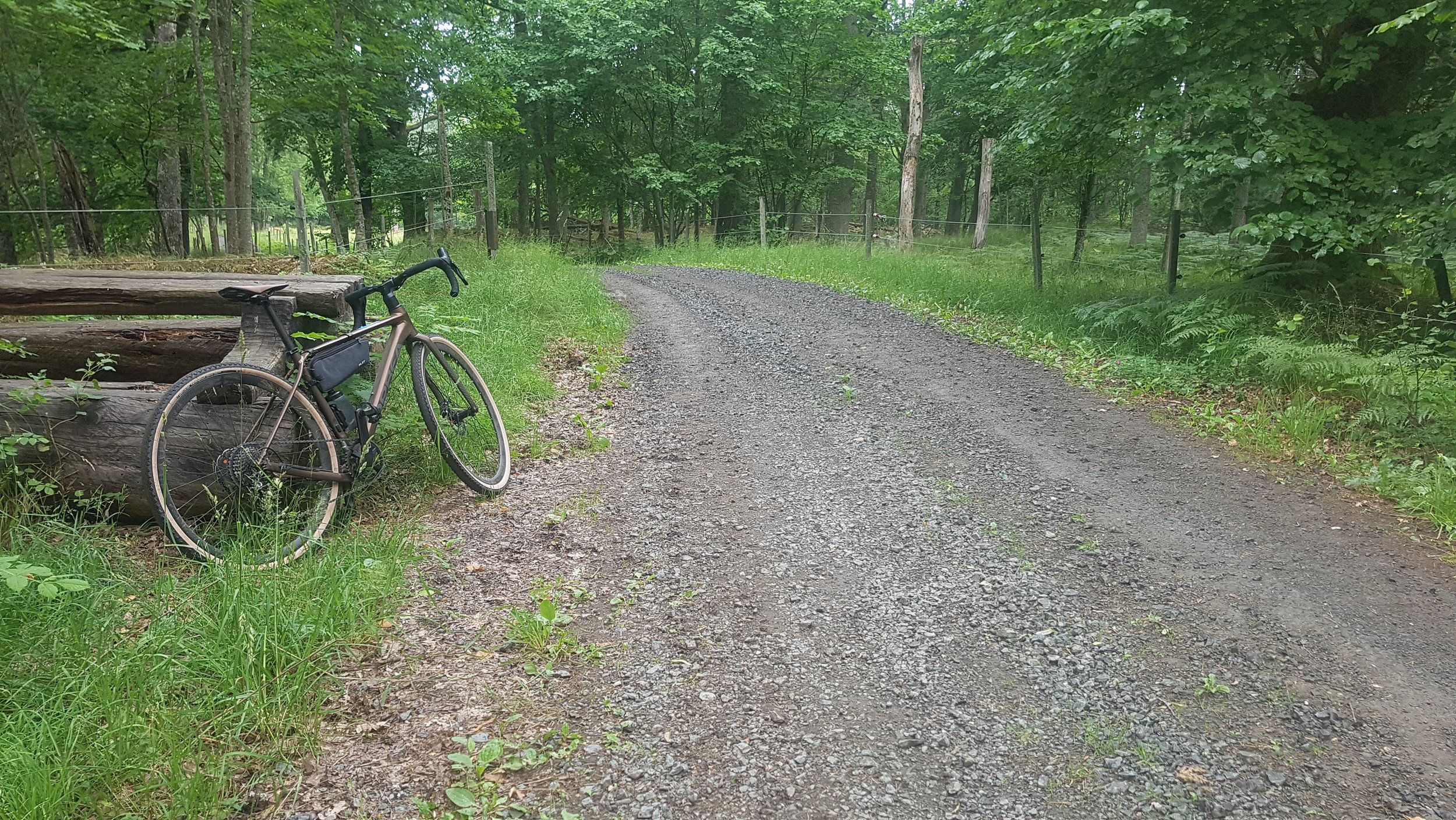 20230701_095554.jpg