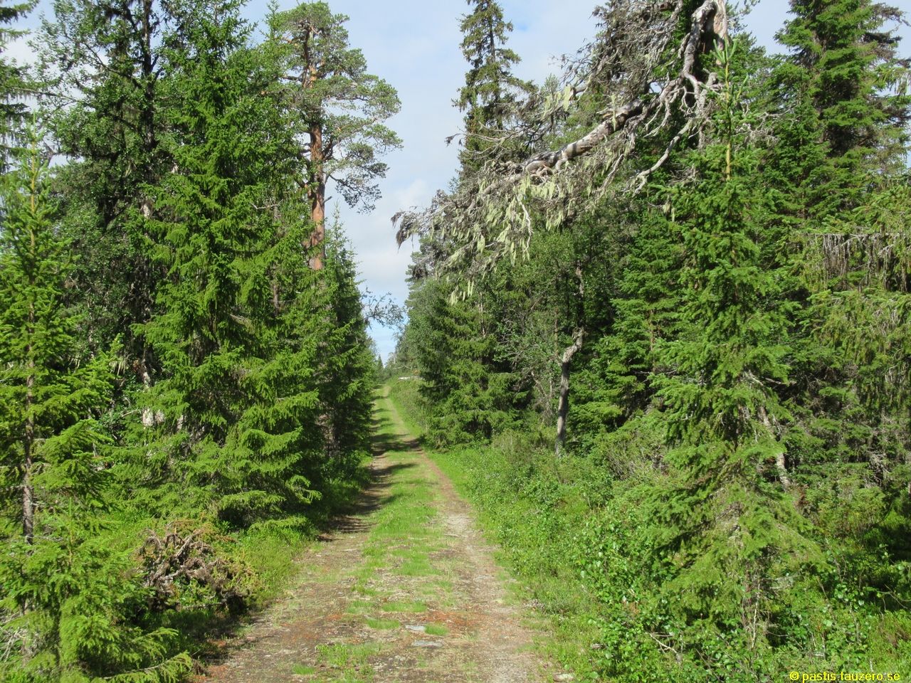 20230705b-004.jpg