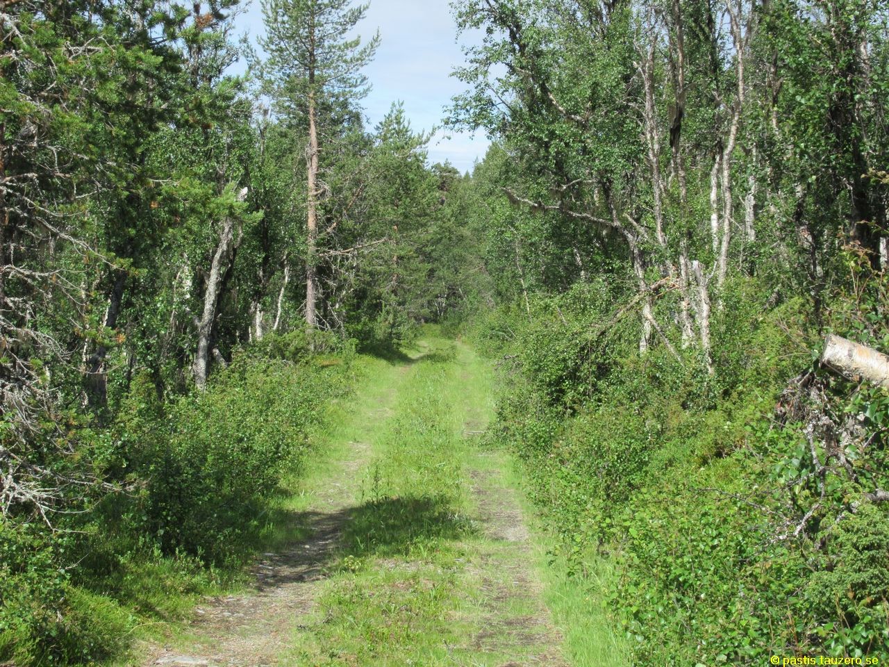 20230705b-006.jpg