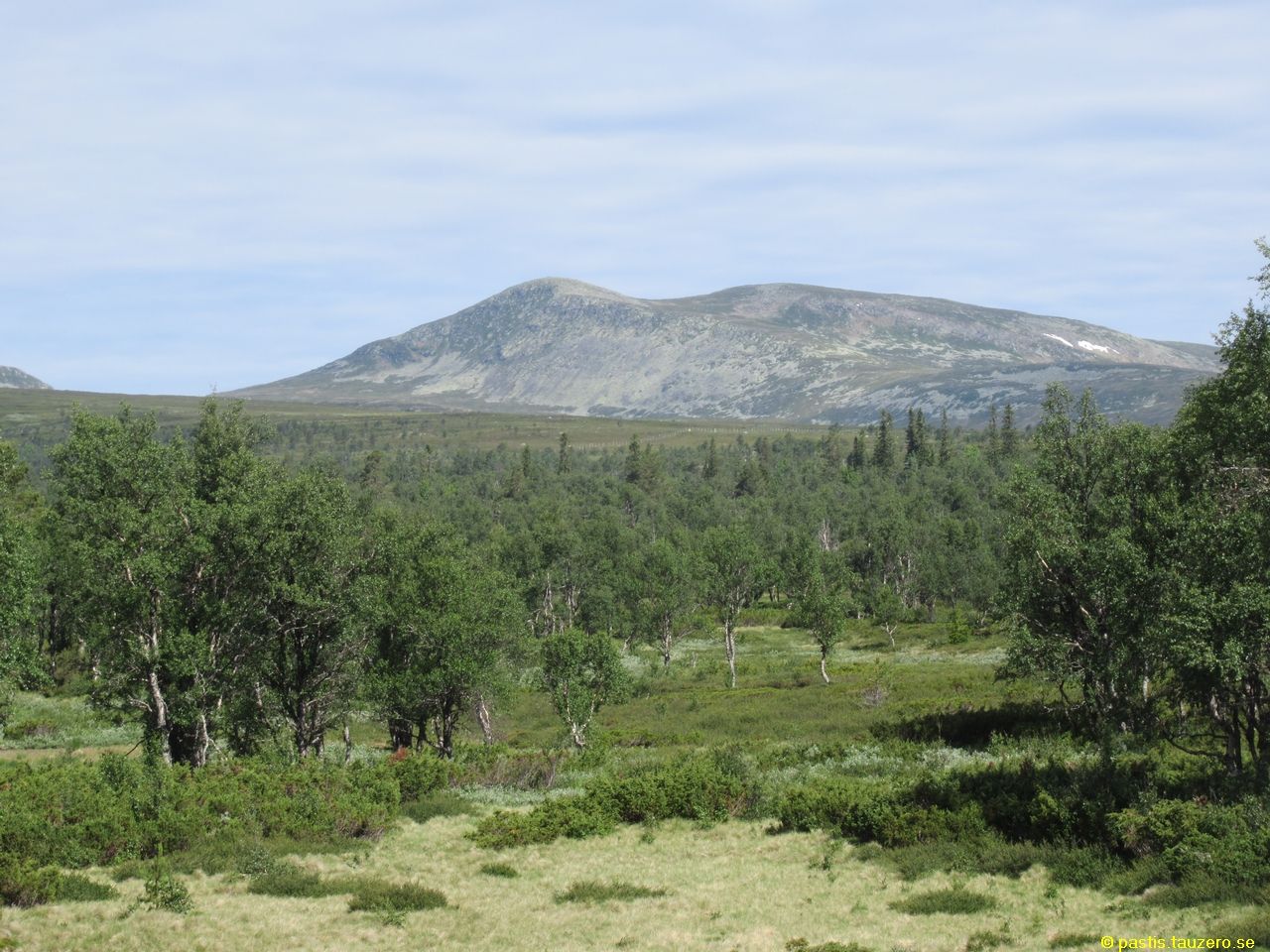 20230705b-007.jpg