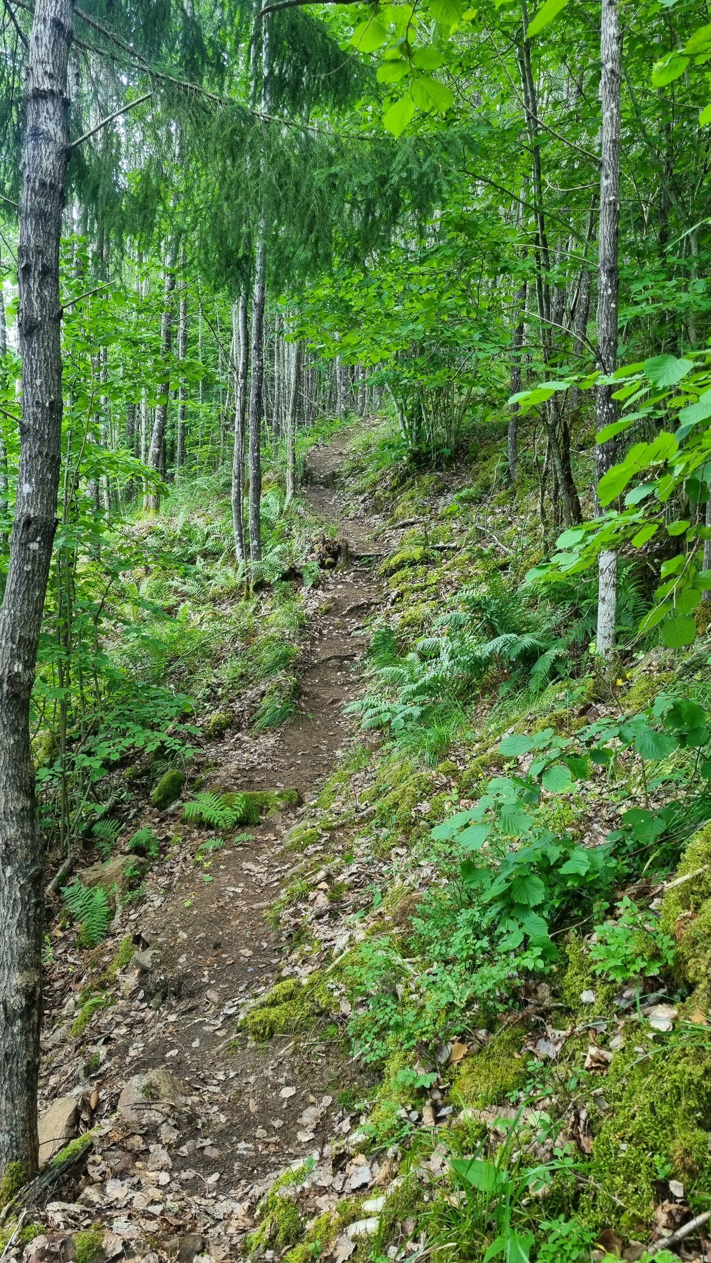 20230709_110344.jpg