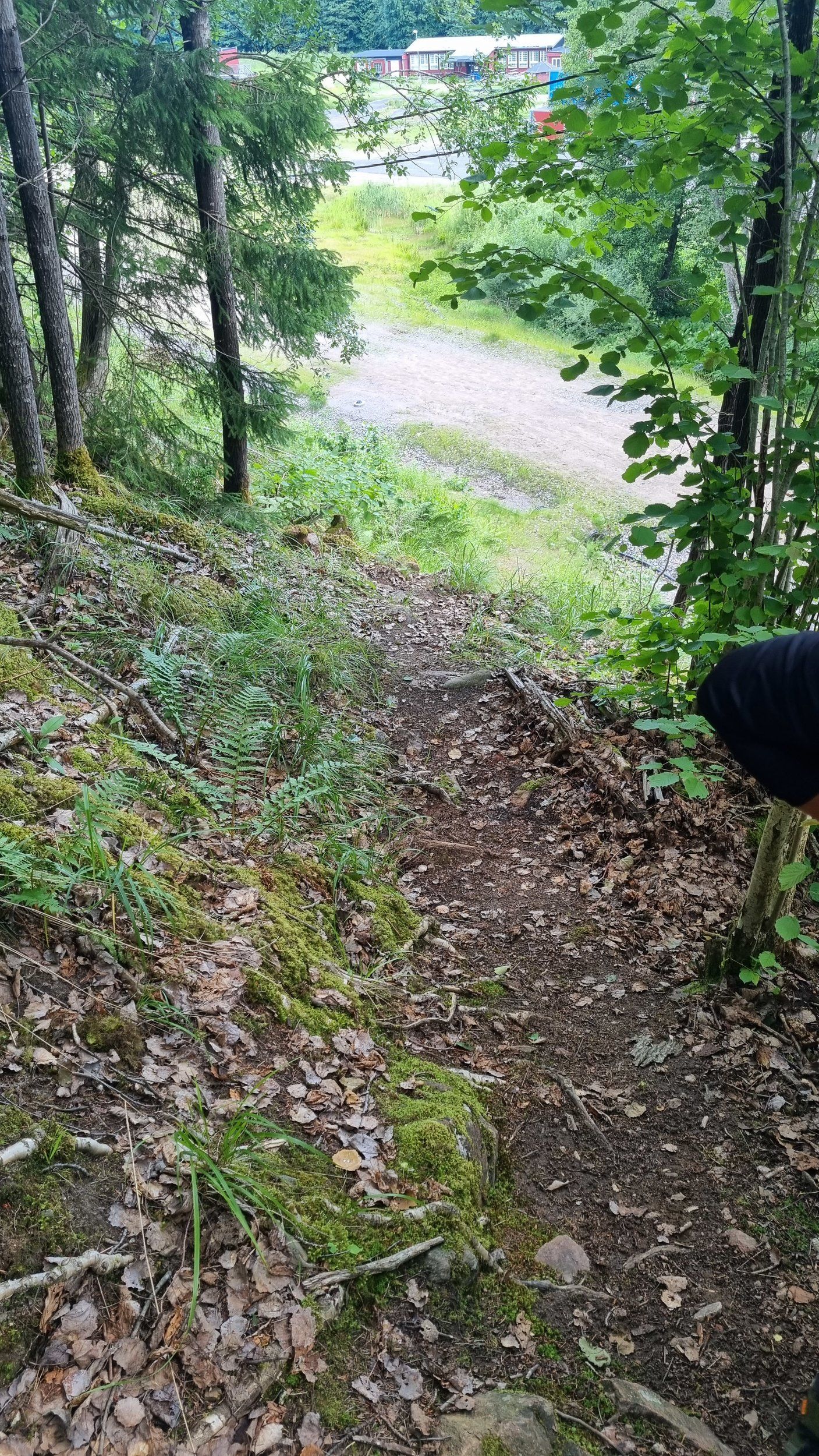 20230709_110354.jpg