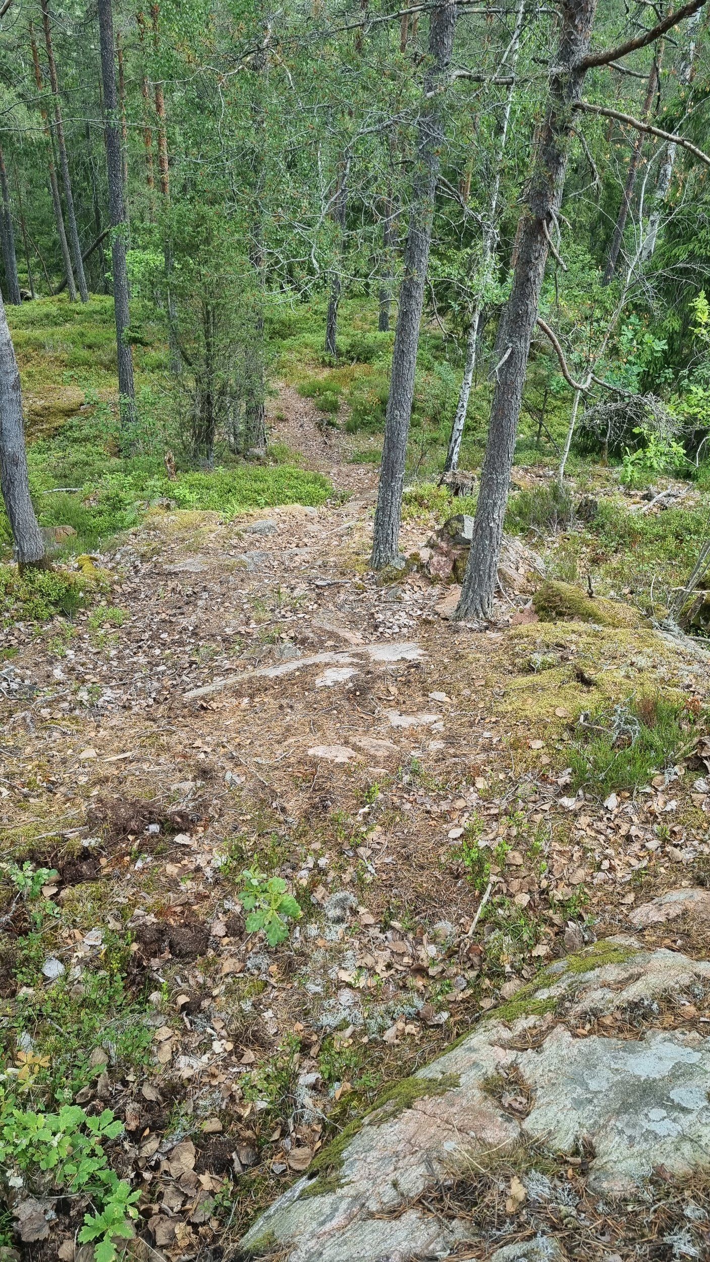 20230709_121027.jpg