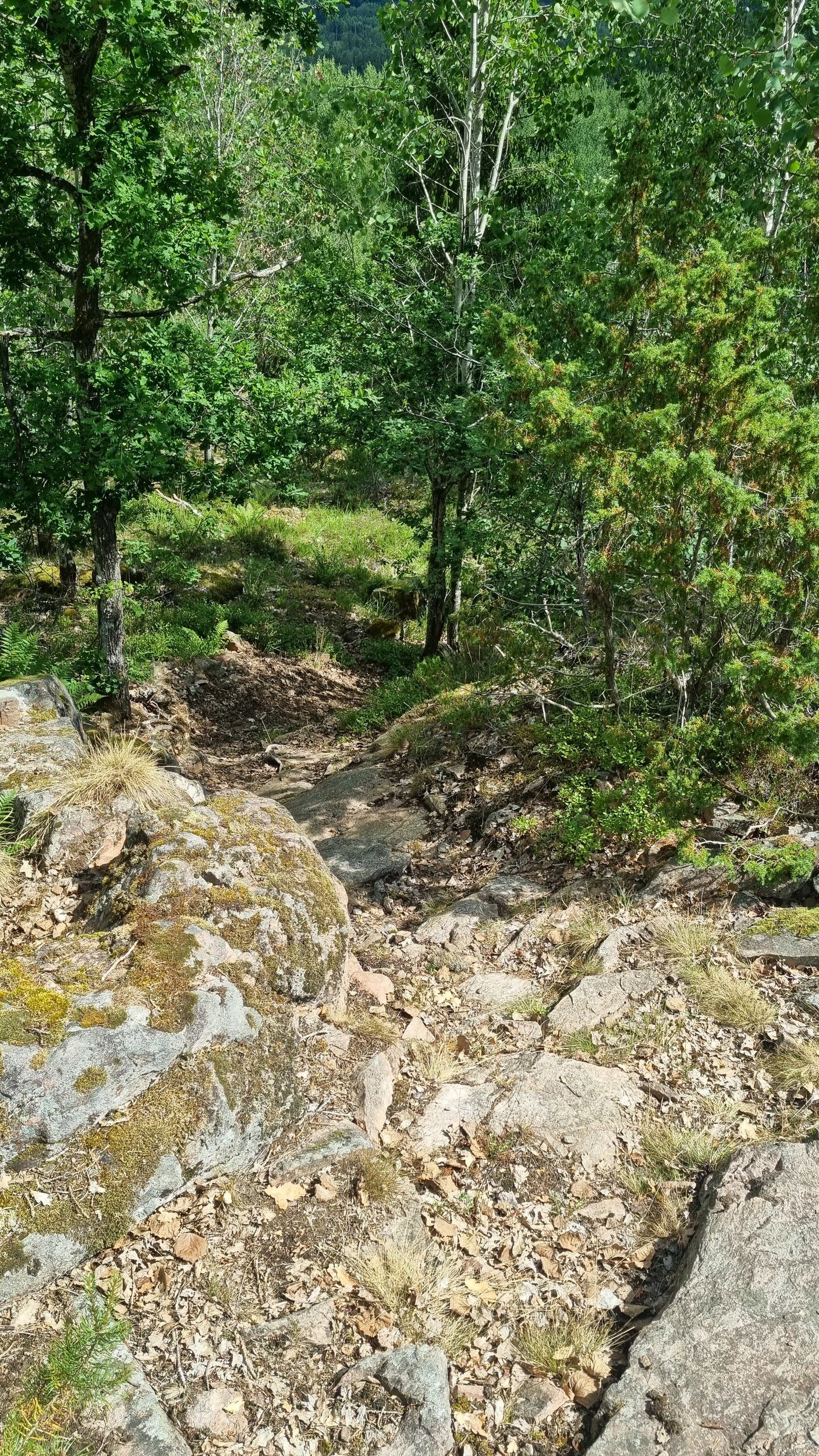 20230709_121104.jpg