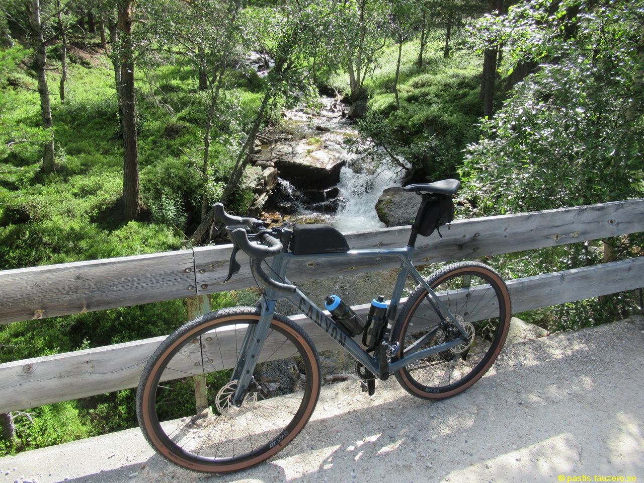 20230710b-005.jpg