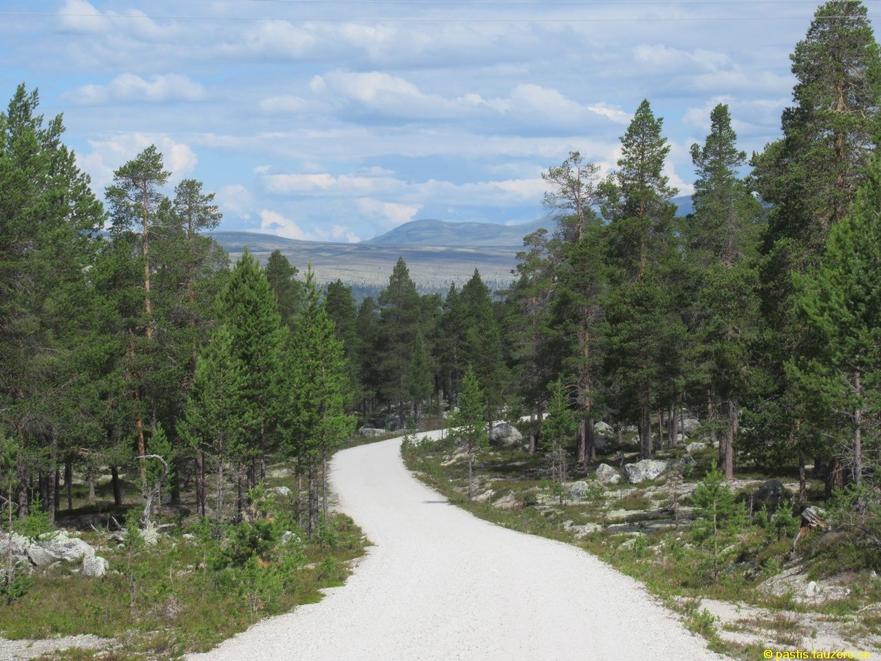 20230710b-007.jpg