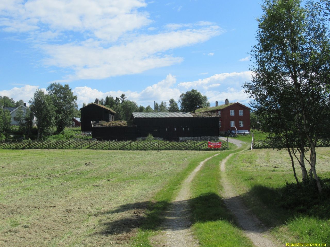 20230710b-013.jpg