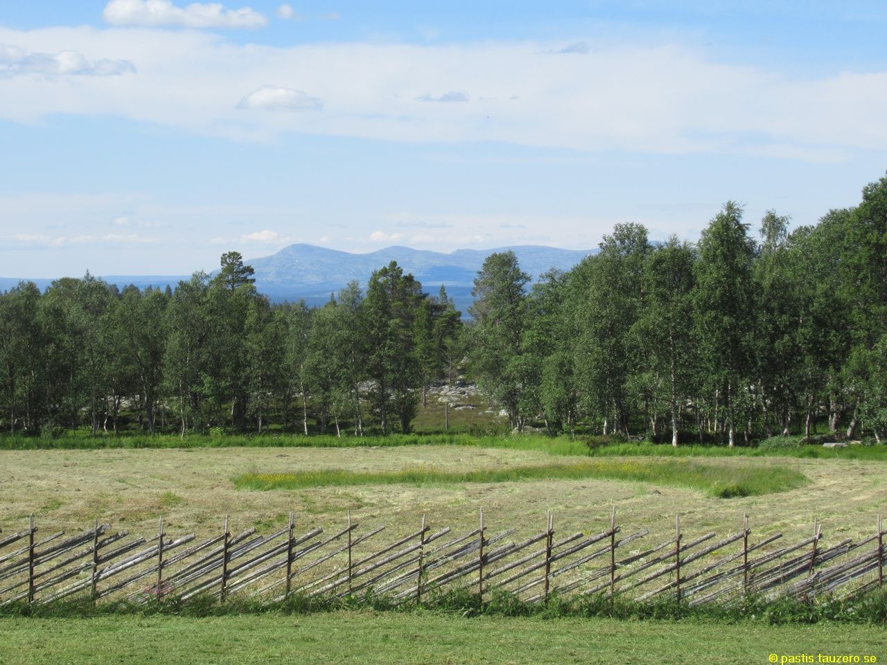 20230710b-019.jpg