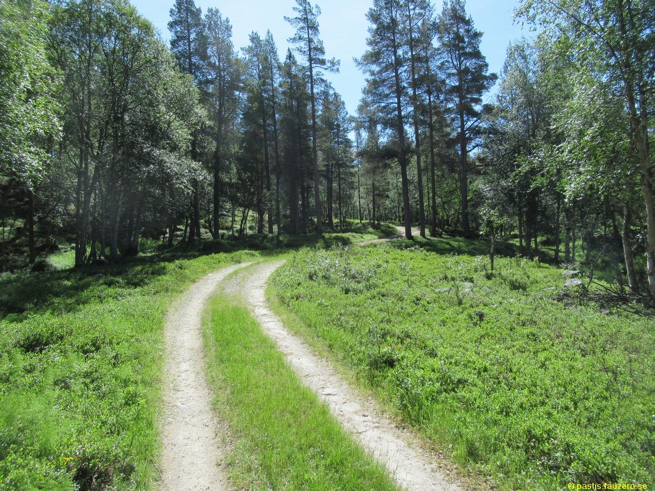 20230710b-032.jpg