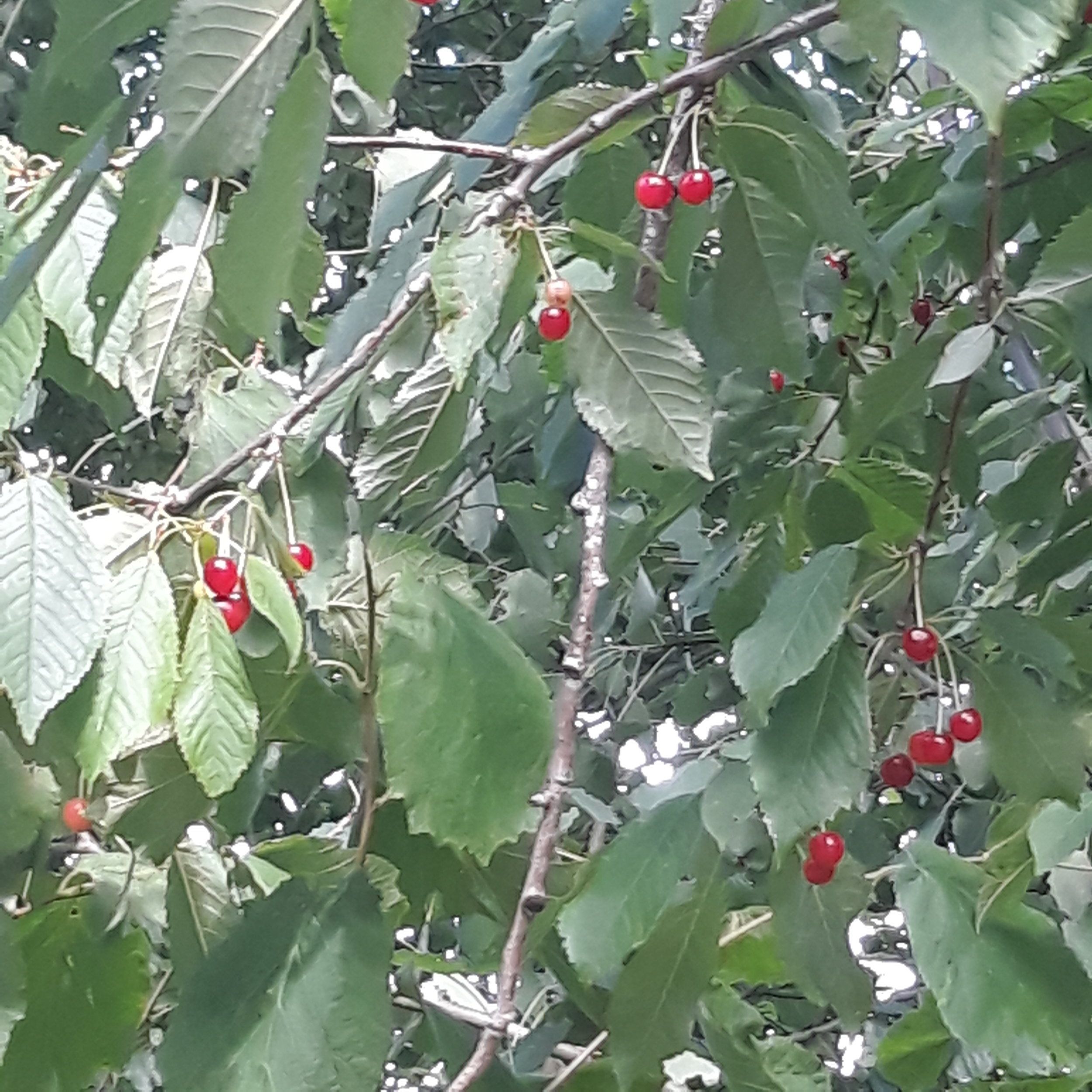20230720_163121.jpg