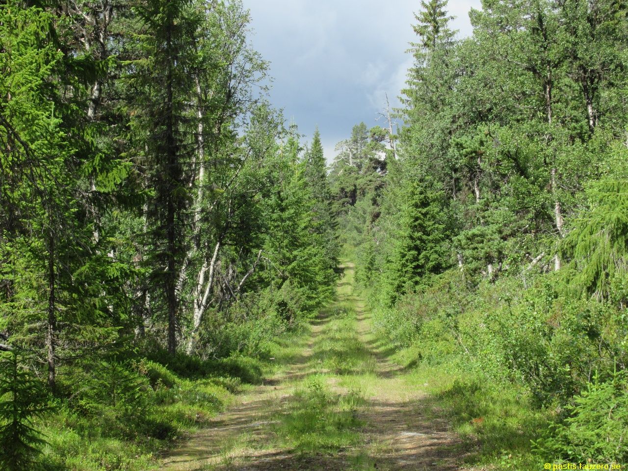 20230720b-005.jpg