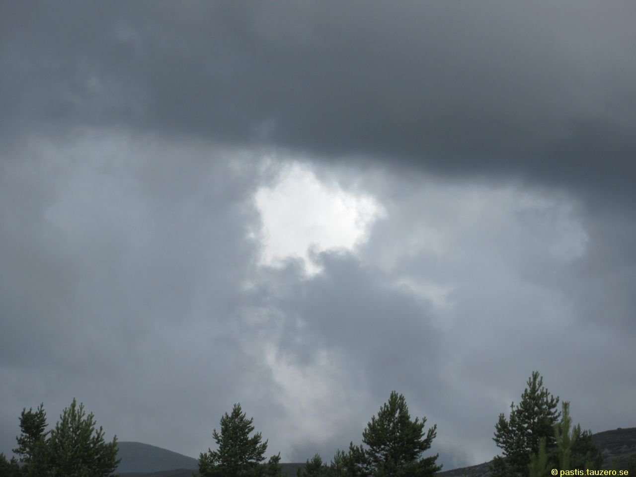 20230720b-011.jpg