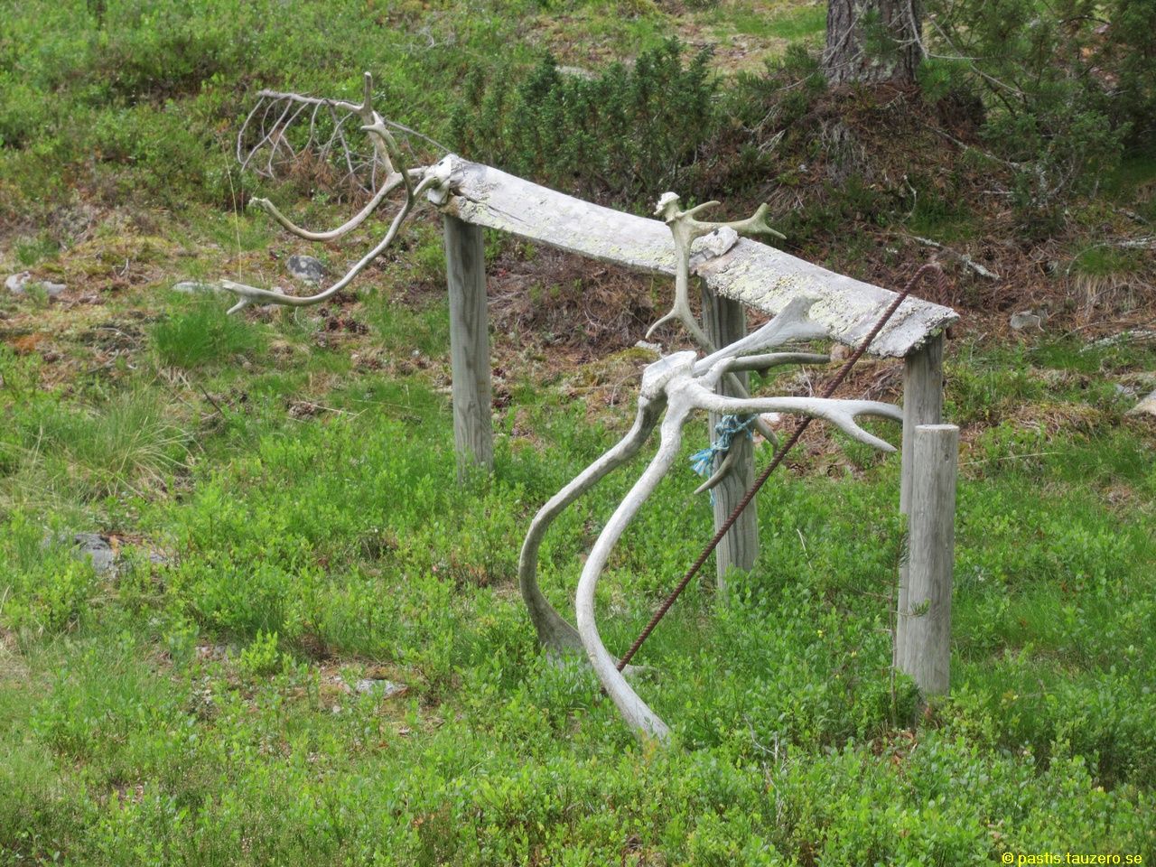 20230720b-014.jpg