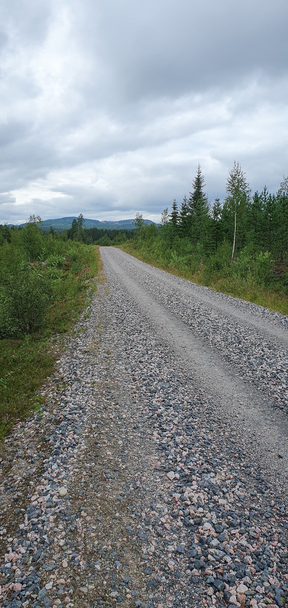 20230724_175355.jpg