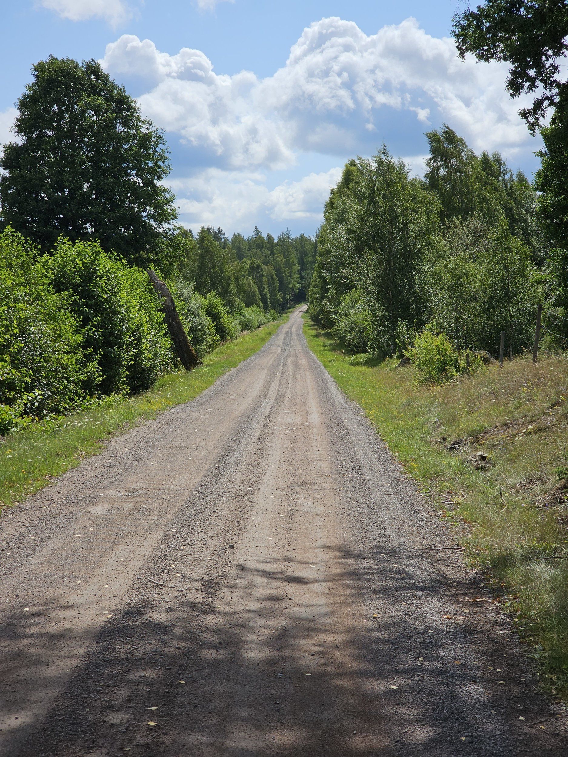 20230725_115228.jpg