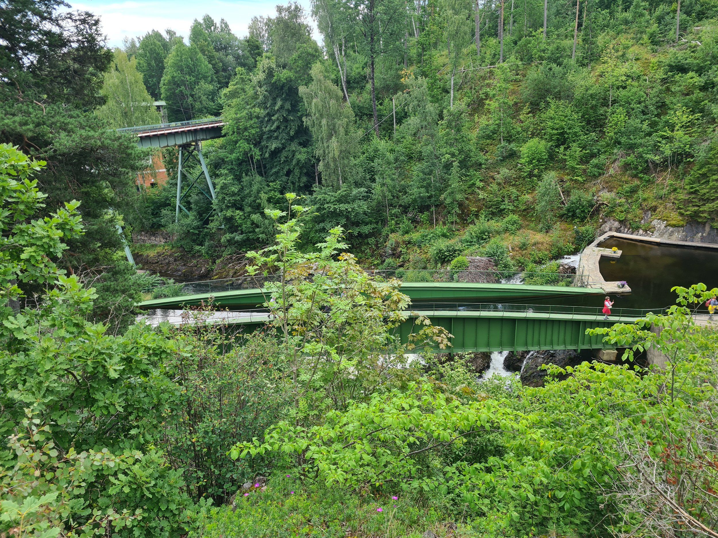 20230728_103701.jpg