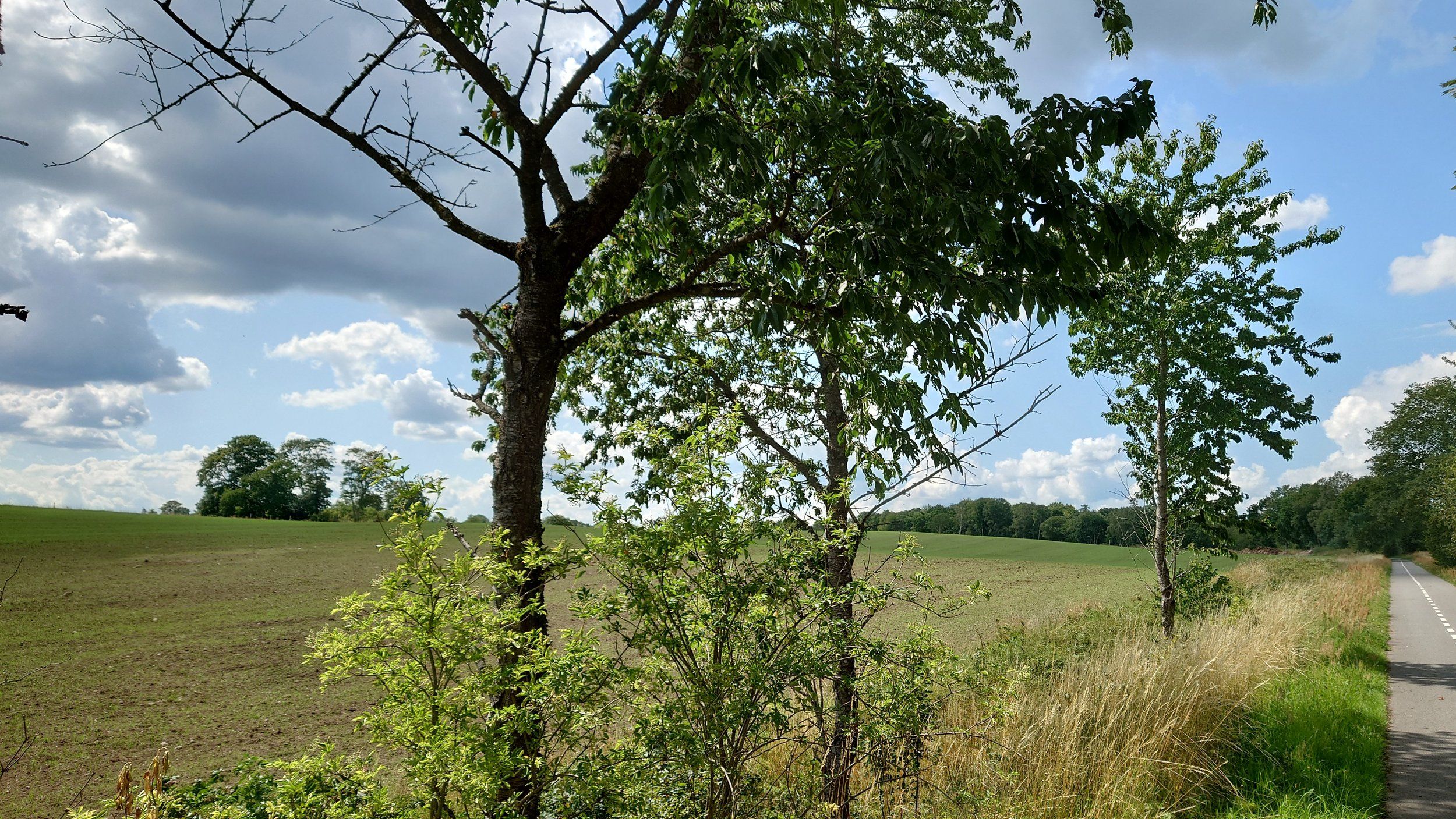 20230728_140357.JPG