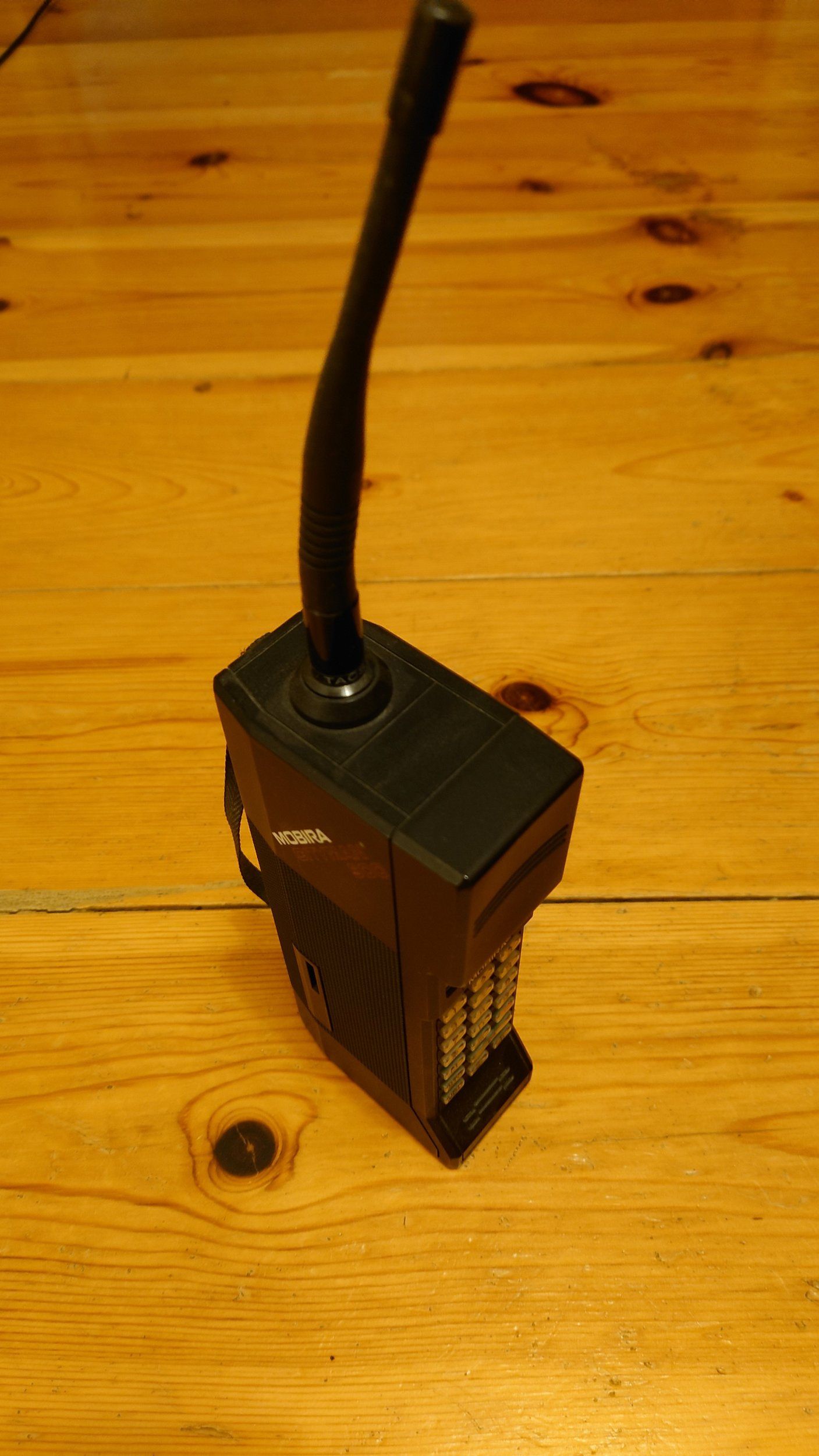 20230729_235150.JPG