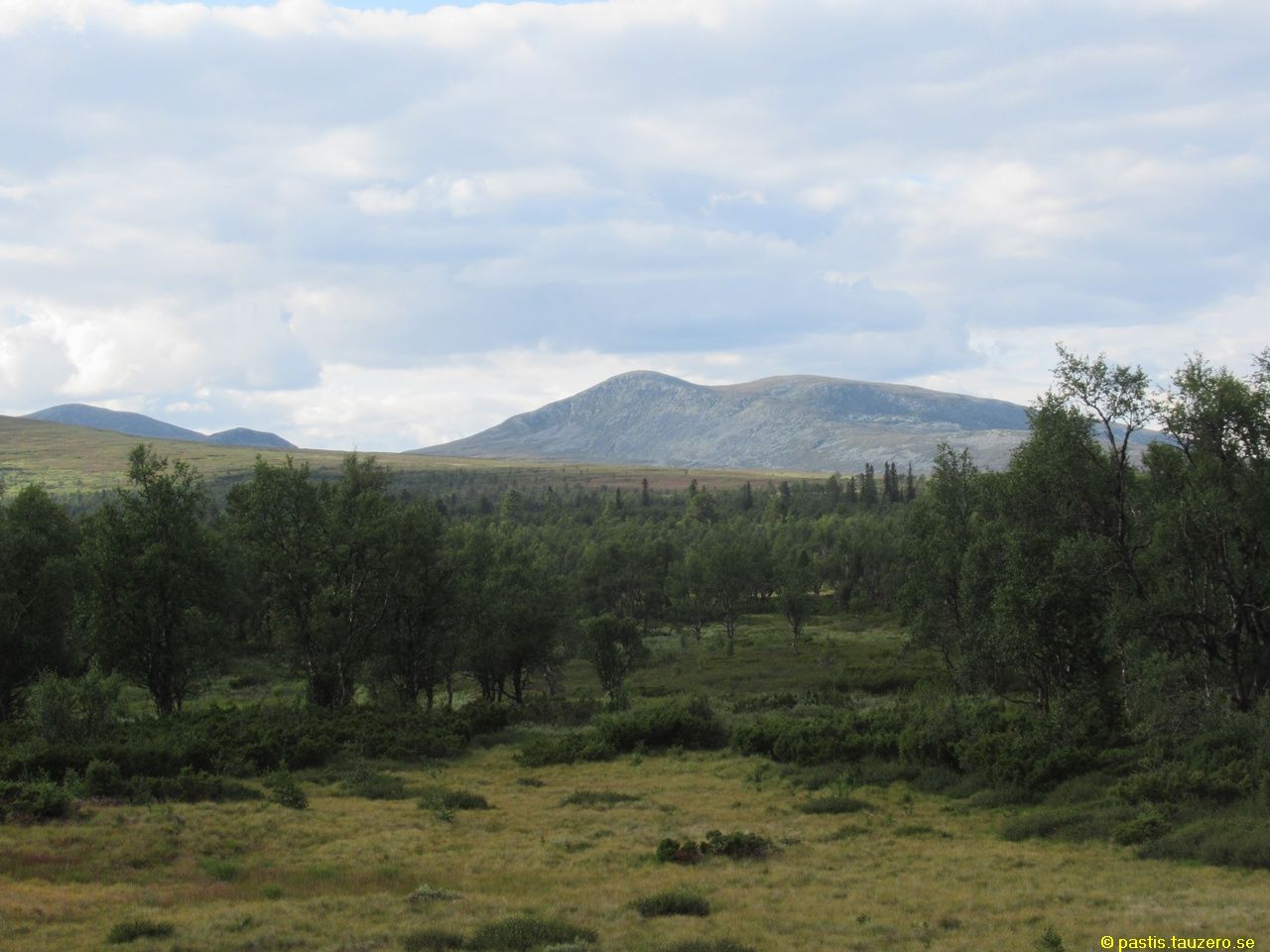 20230731b-002.jpg