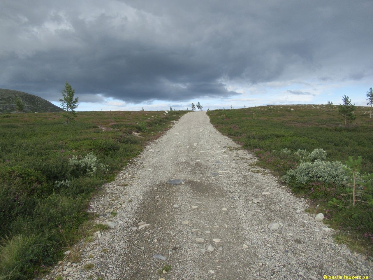 20230731b-006.jpg