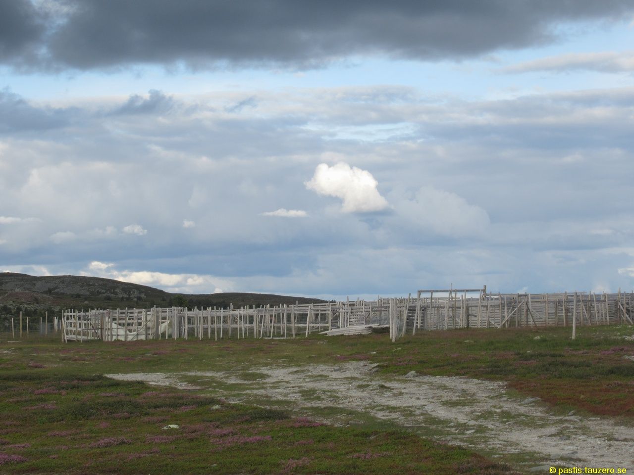 20230731b-007.jpg