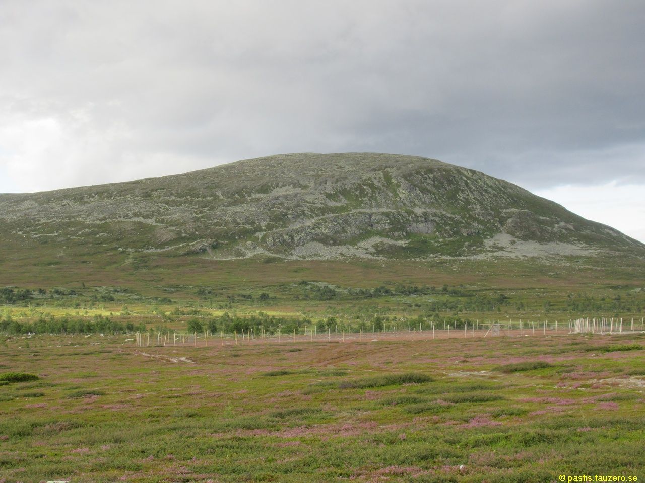 20230731b-008.jpg