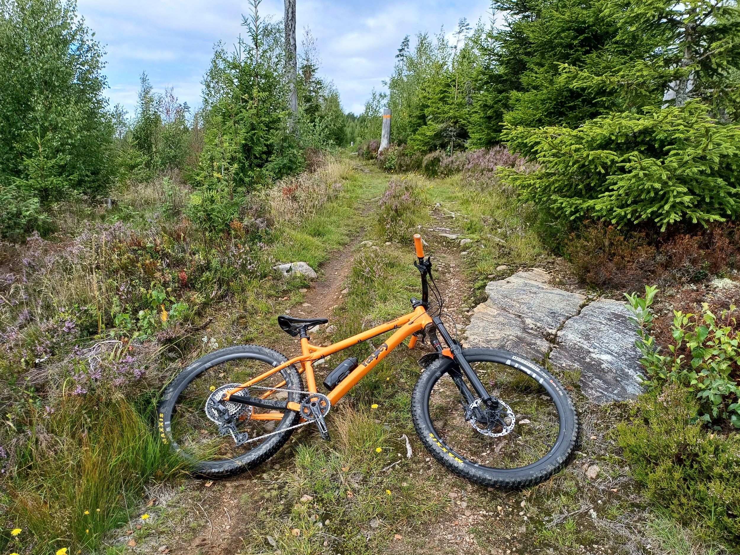 20230801_123226.jpg