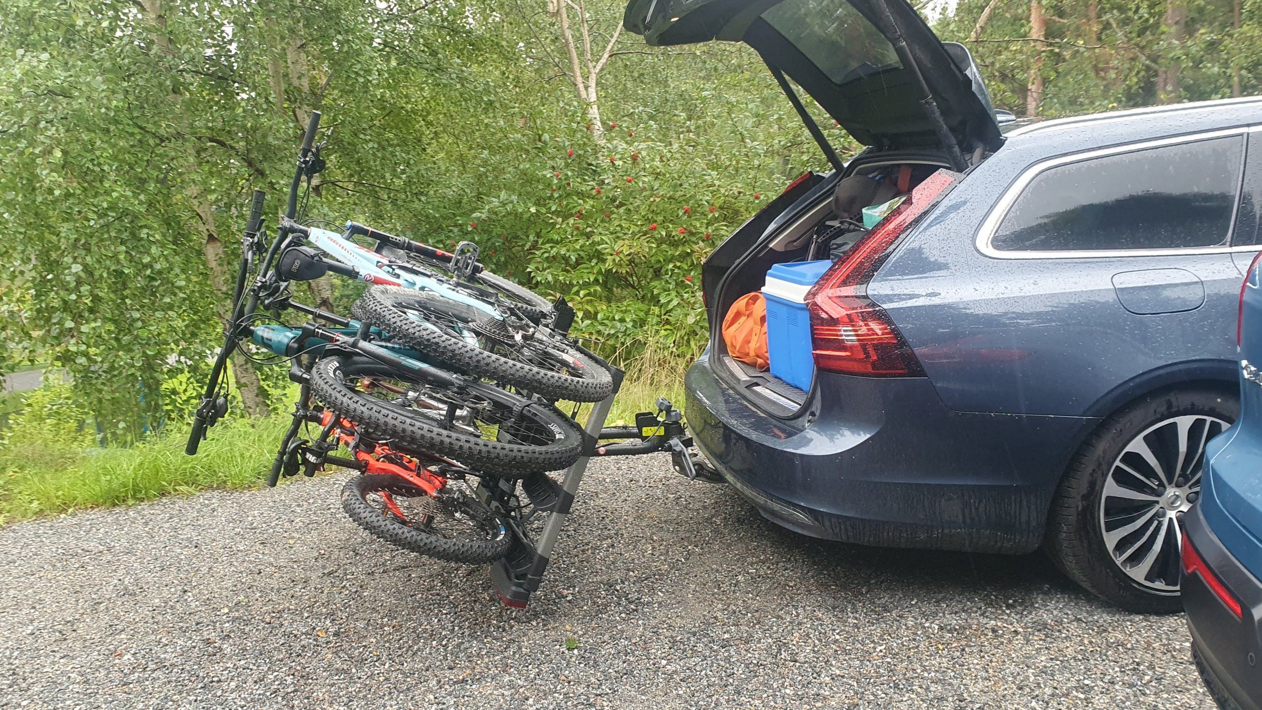20230810_075545.jpg