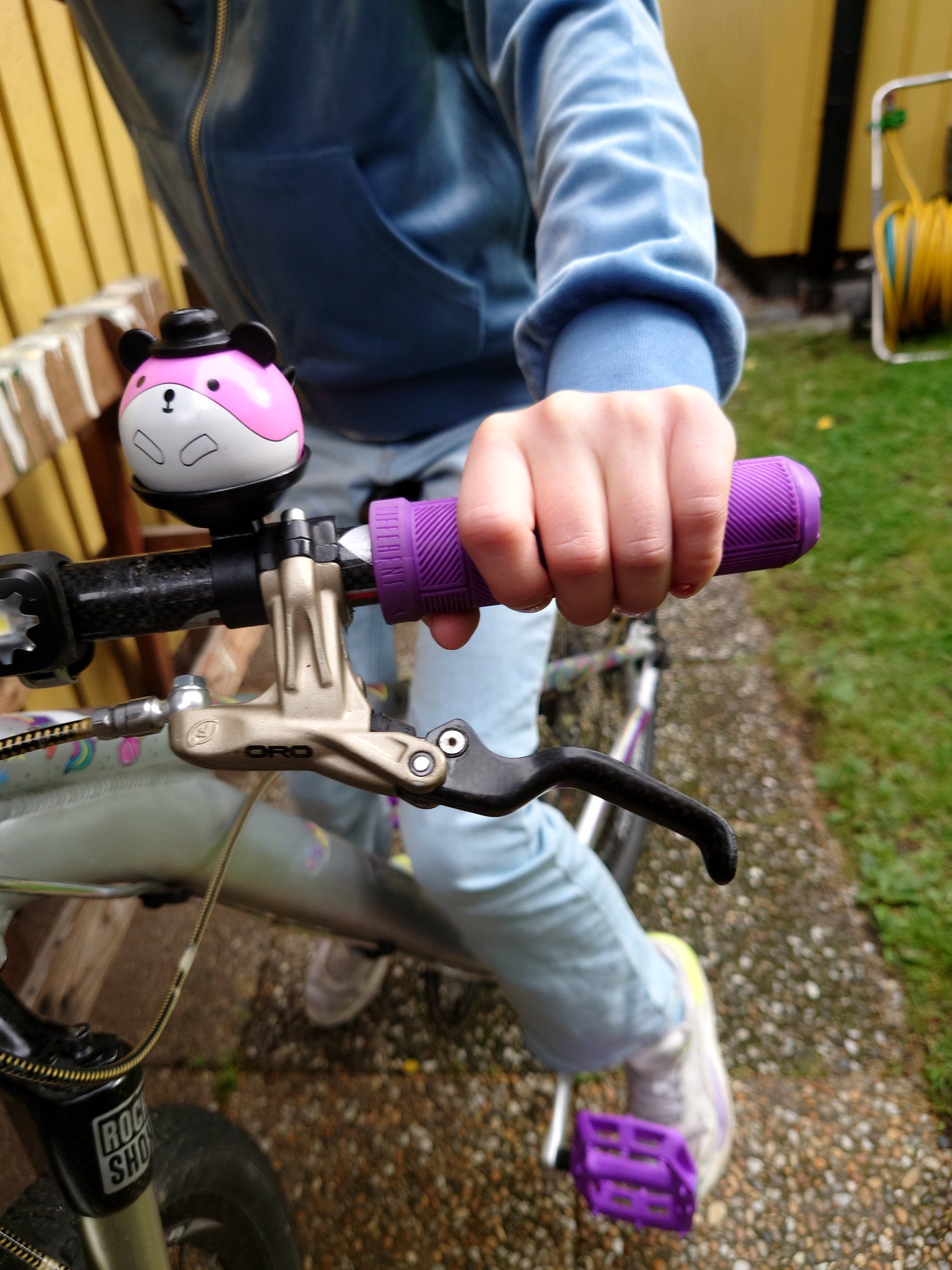 20230810_171134.JPG