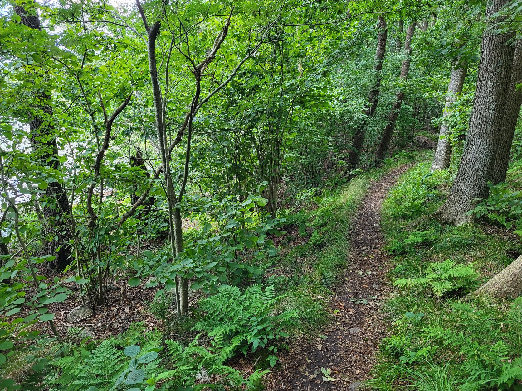 20230811_185814.jpg