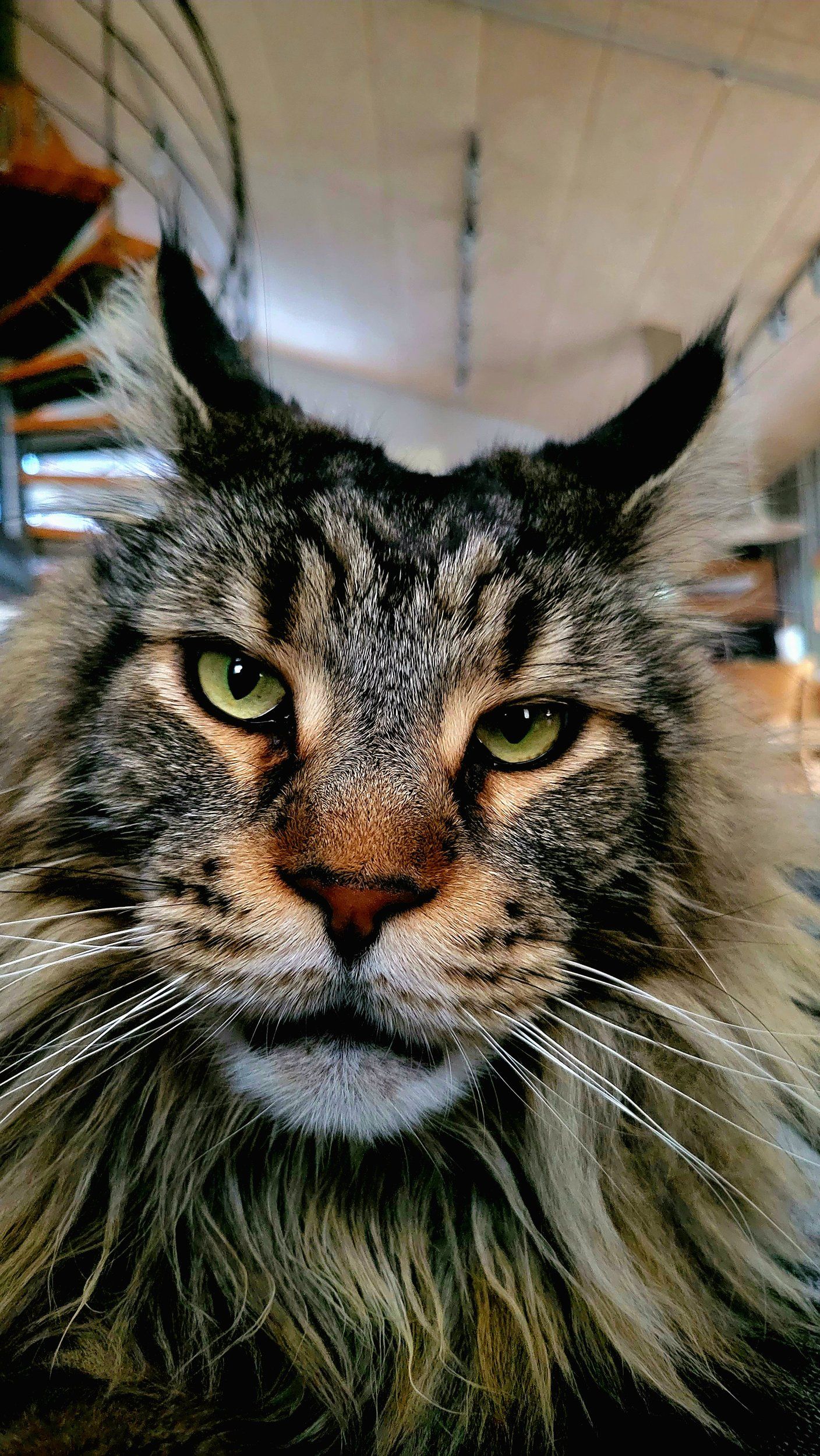 20230812_225057.jpg