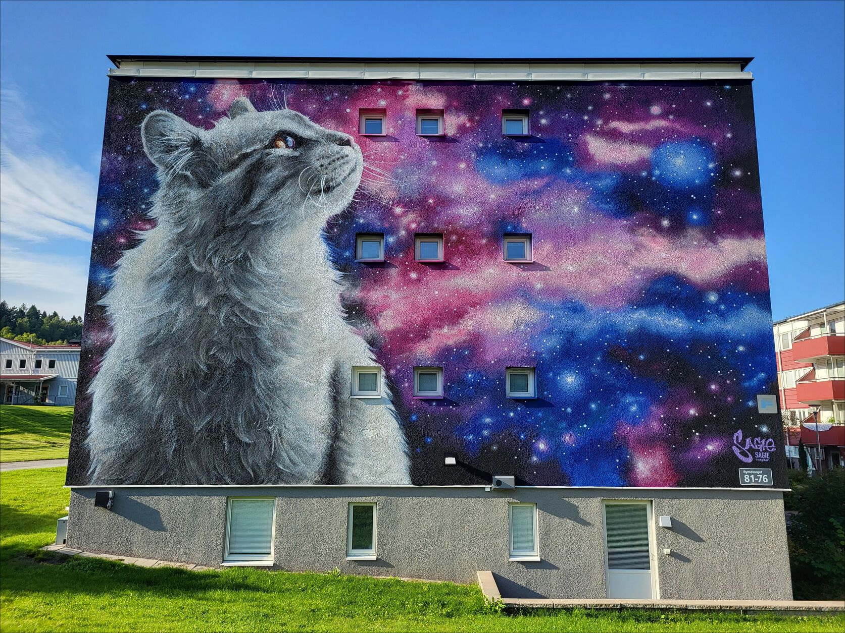 20230815_175206.jpg