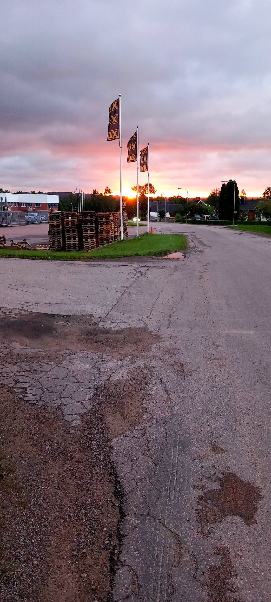 20230816_053703.jpg