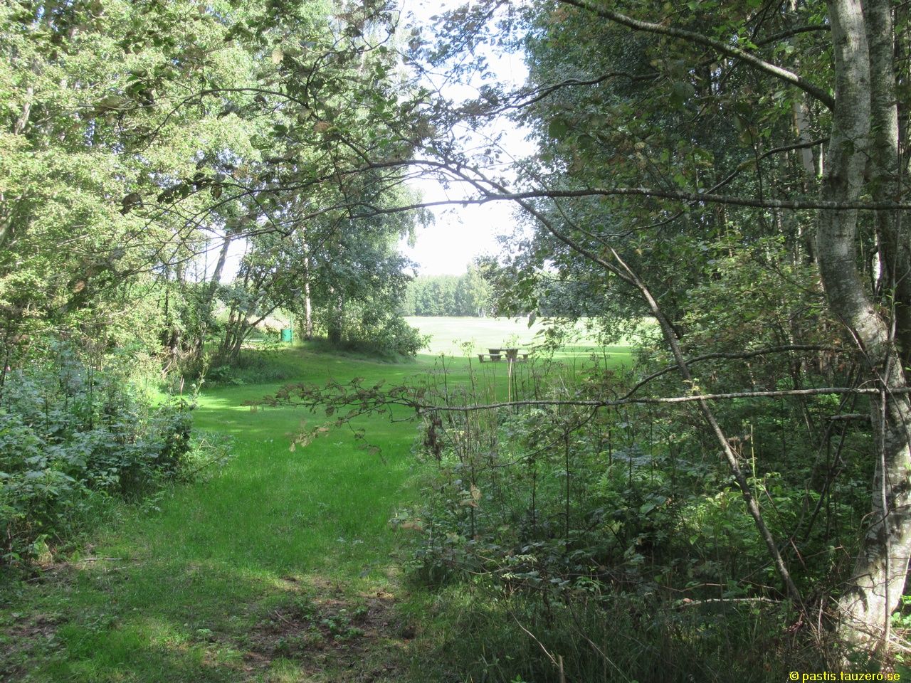 20230819b-003.jpg