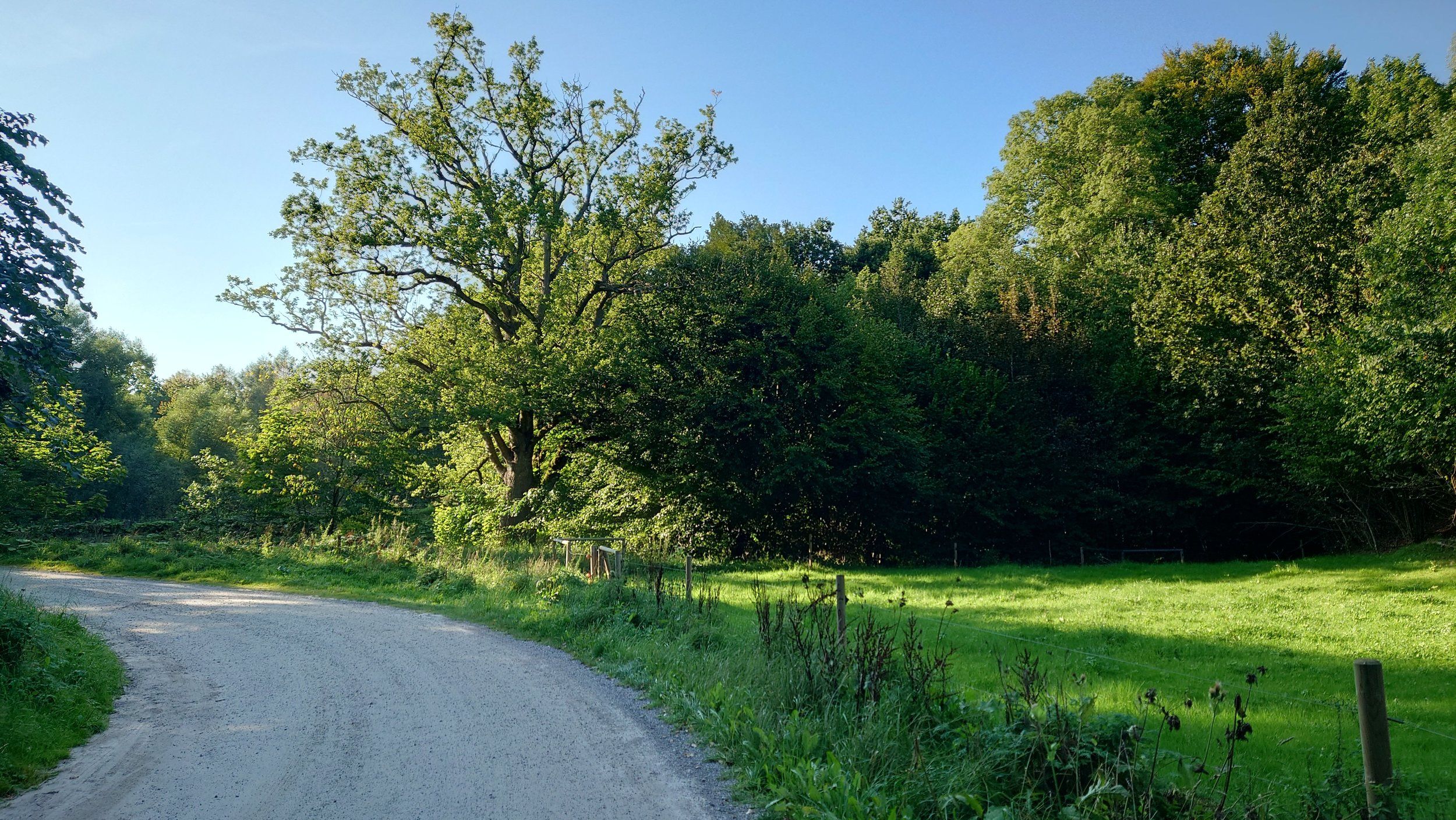 20230917_164018.JPG