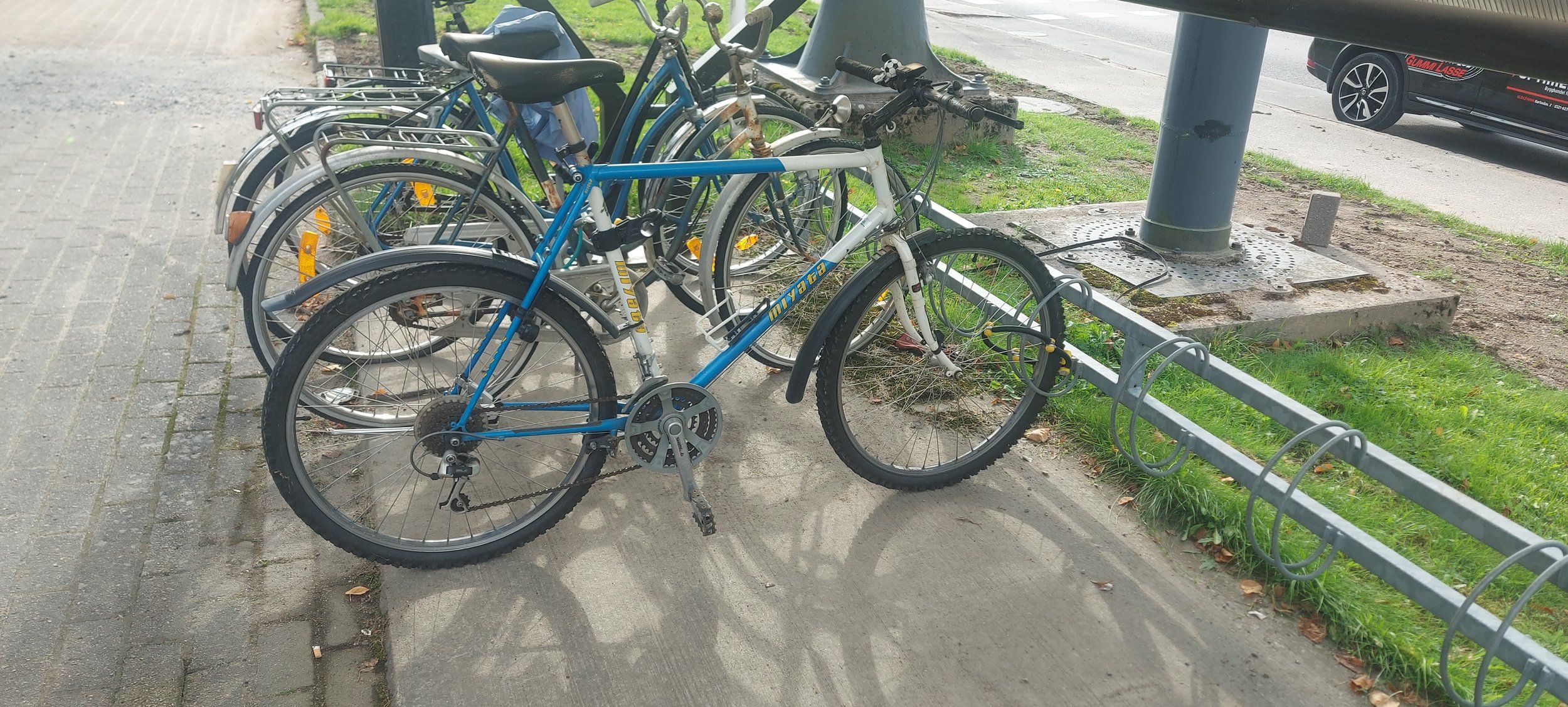 20230927_141115.jpg