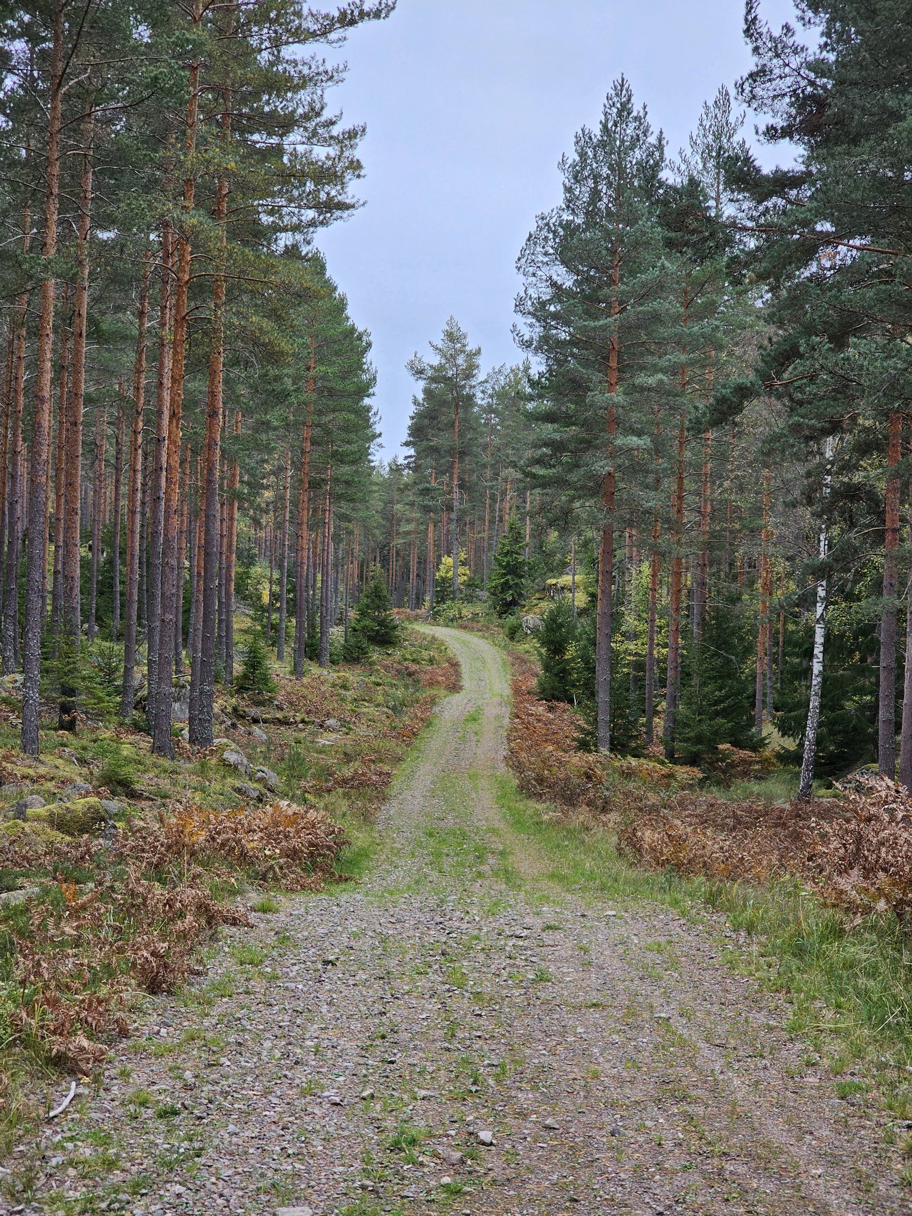 20231013_140253.jpg