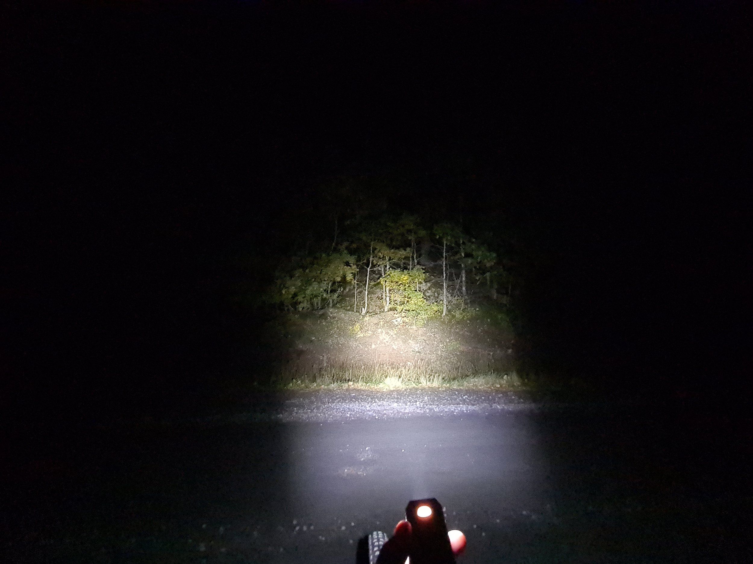 20231014_200828.jpg