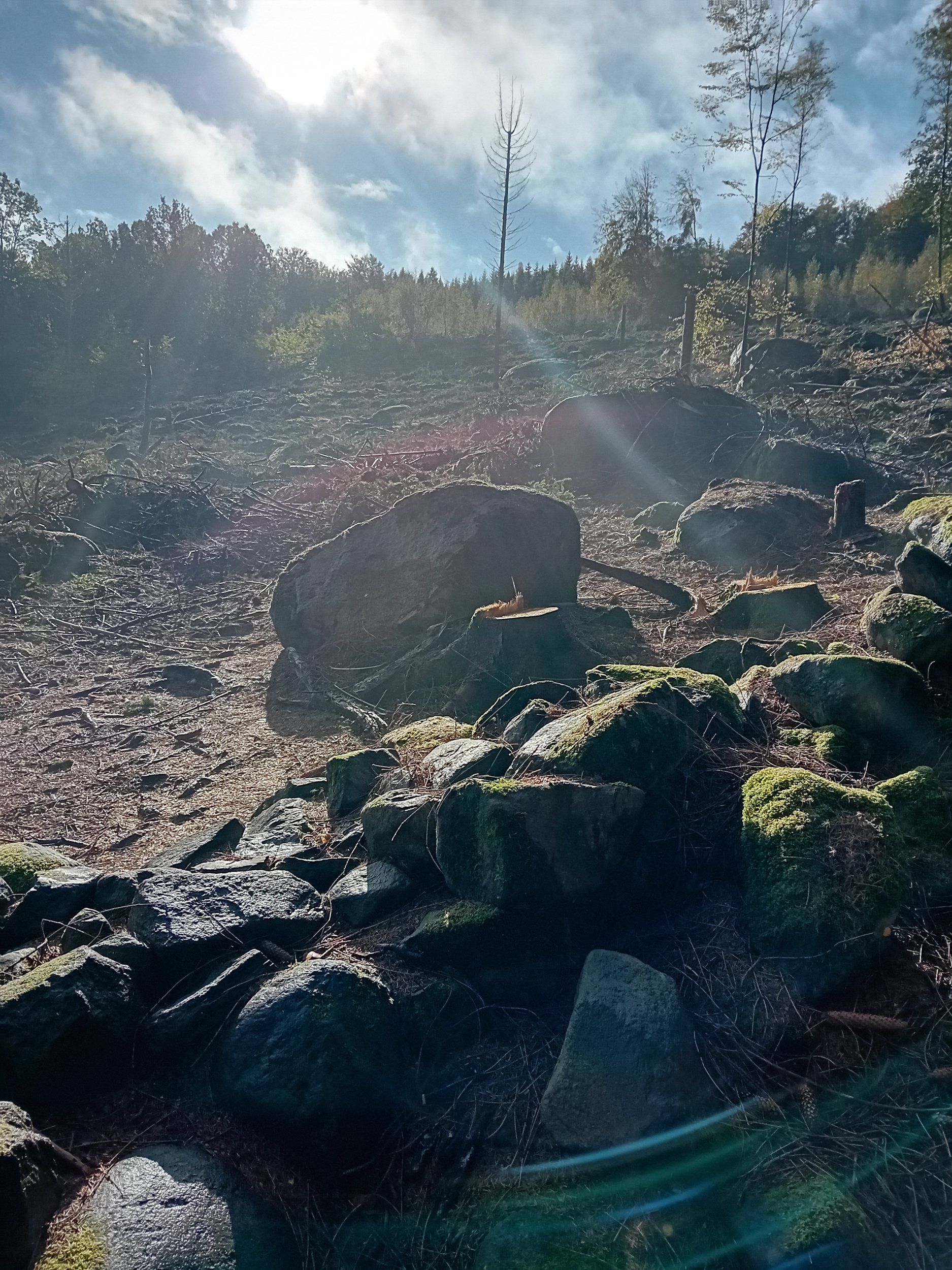 20231015_131302.jpg