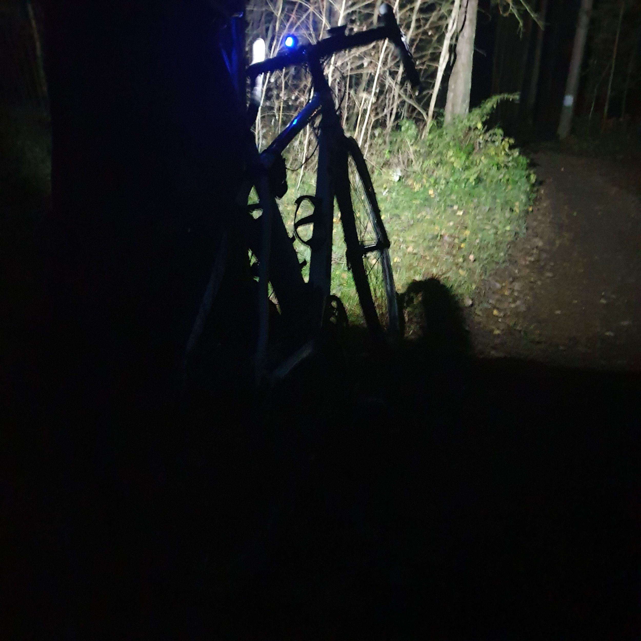 20231113_164728.jpg
