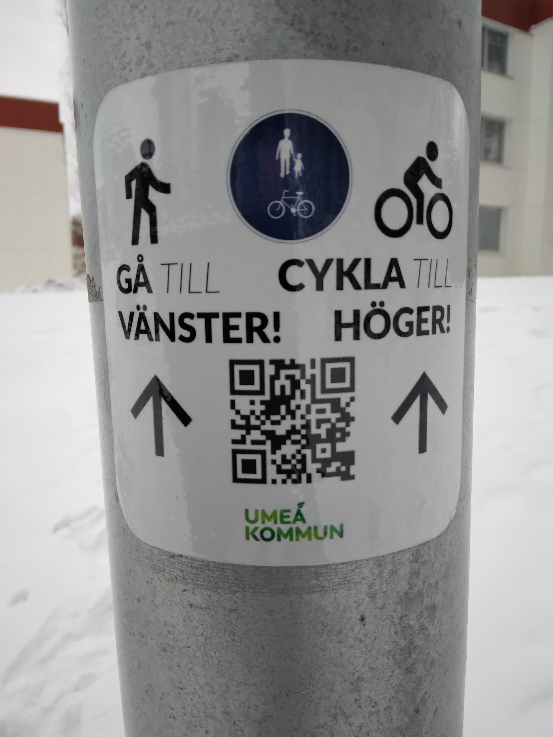 20231114_111754.jpg