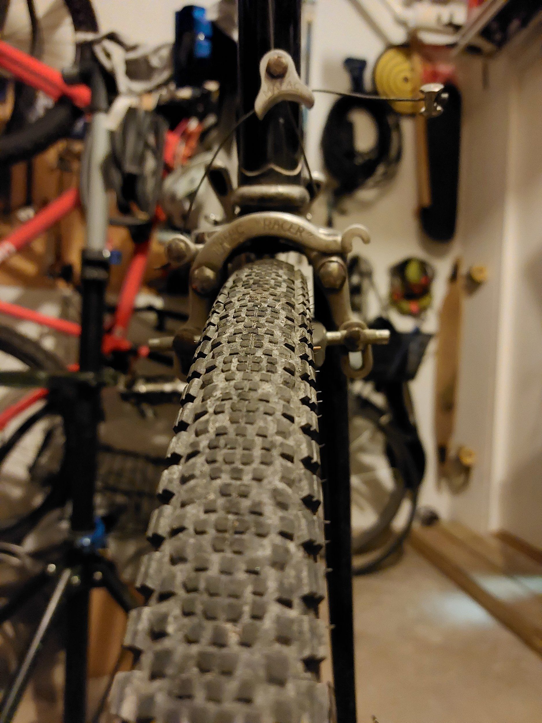 20231119_174622.jpg