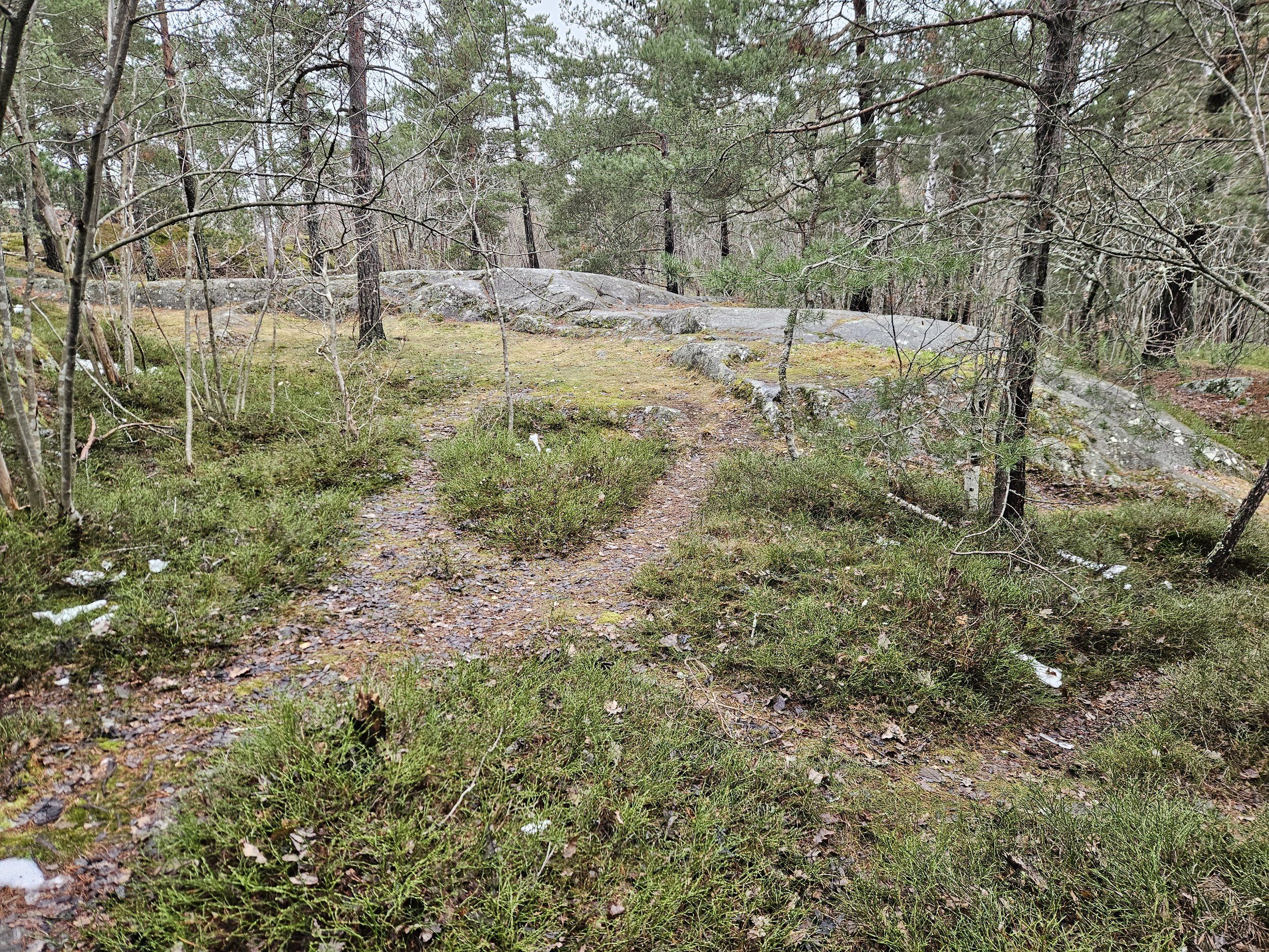 20231218_123959.jpg