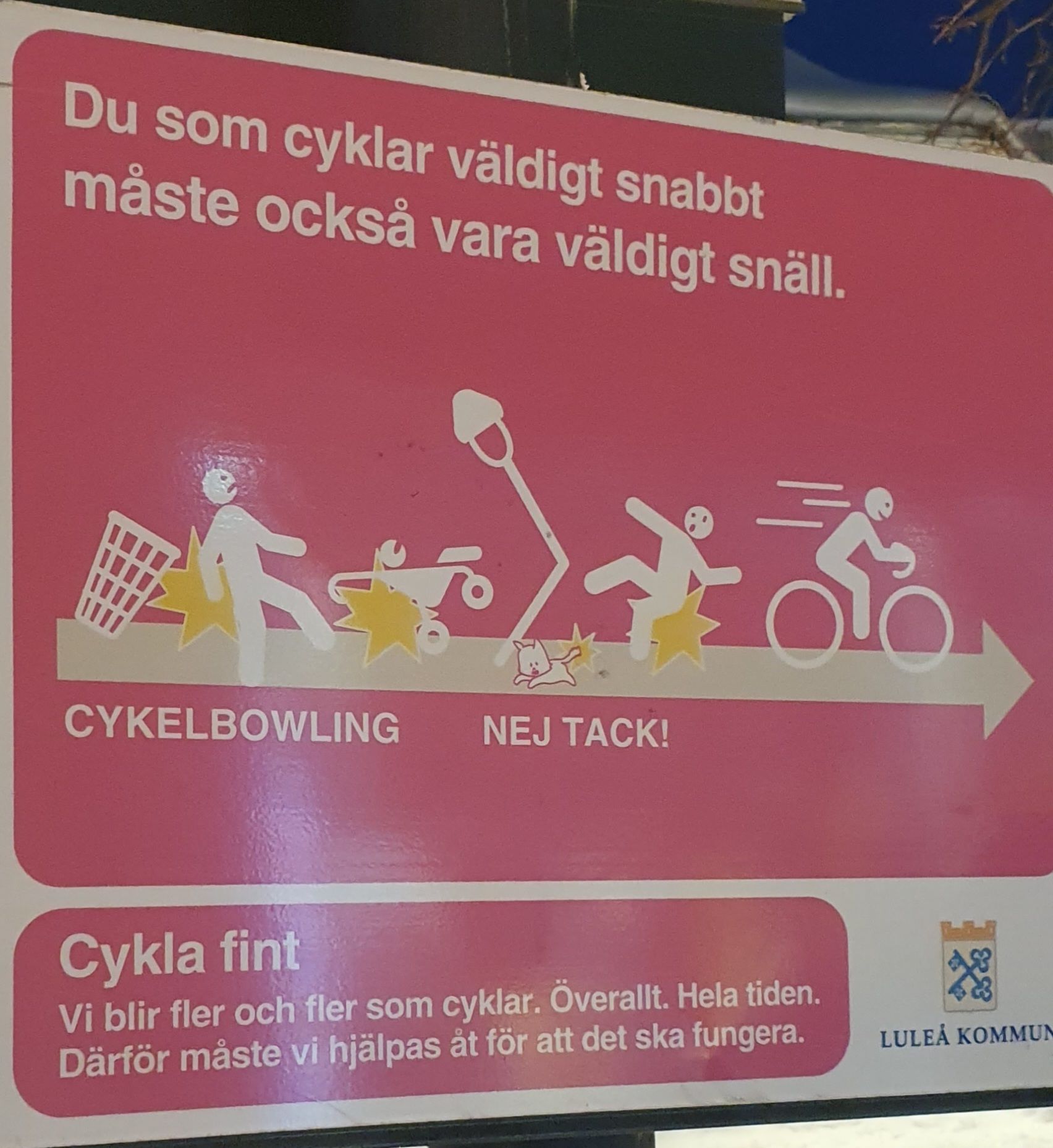 20231226_144908.jpg